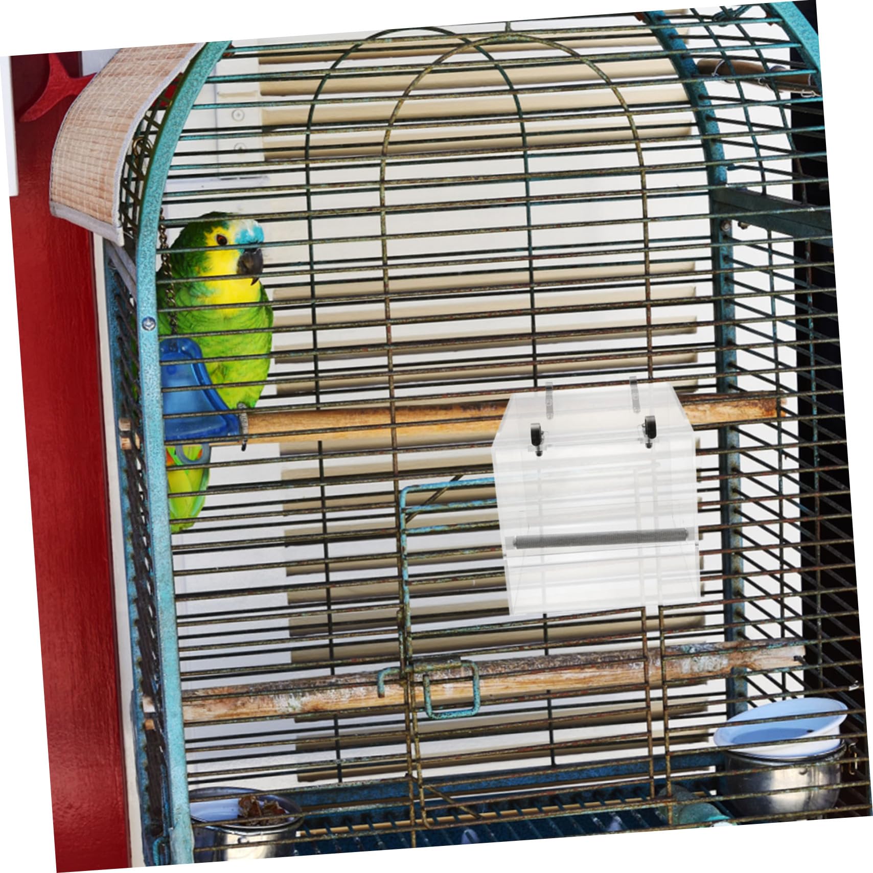 Mangiatoia Automatica Per Pappagalli in Plastica Per Animali Domestici Ciotola Per Uccelli Da Appendere Facile Da Pulire e Installare Sulla Gabbia