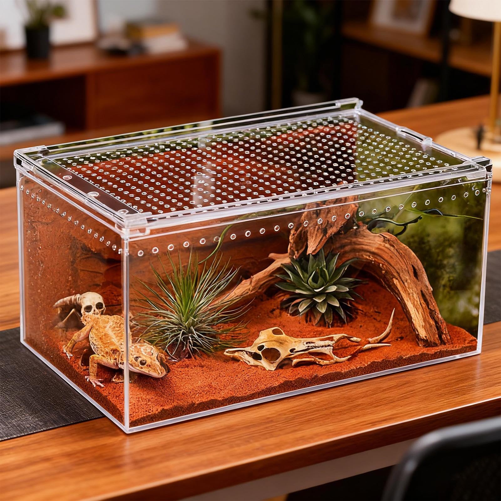 Jumping Spider Enclosure, przezroczysta ucieczka, odporna na ucieczkę, 15 , wentylowana konstrukcja dla małych zwierząt domowych, tarantula i gadów, do użytku wewnątrz i na biurko, żaba, gekon