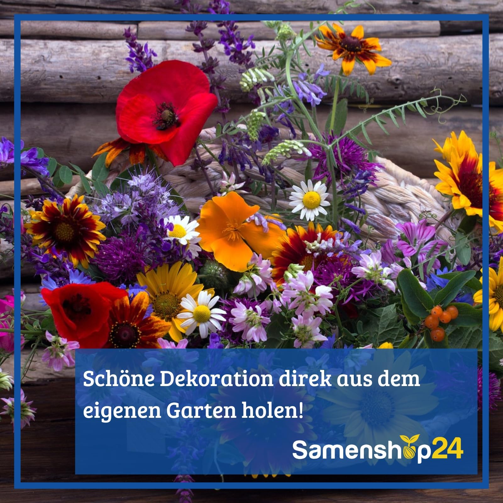 Sommerblumenmischung einjährig niedrige Sorten 1 kg für ca 2000 m², Nektarspender