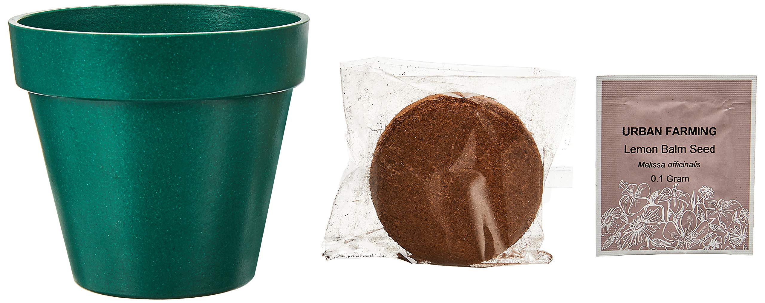 Paris GardenLemon Balm Bio Pots, Green, PG-7714