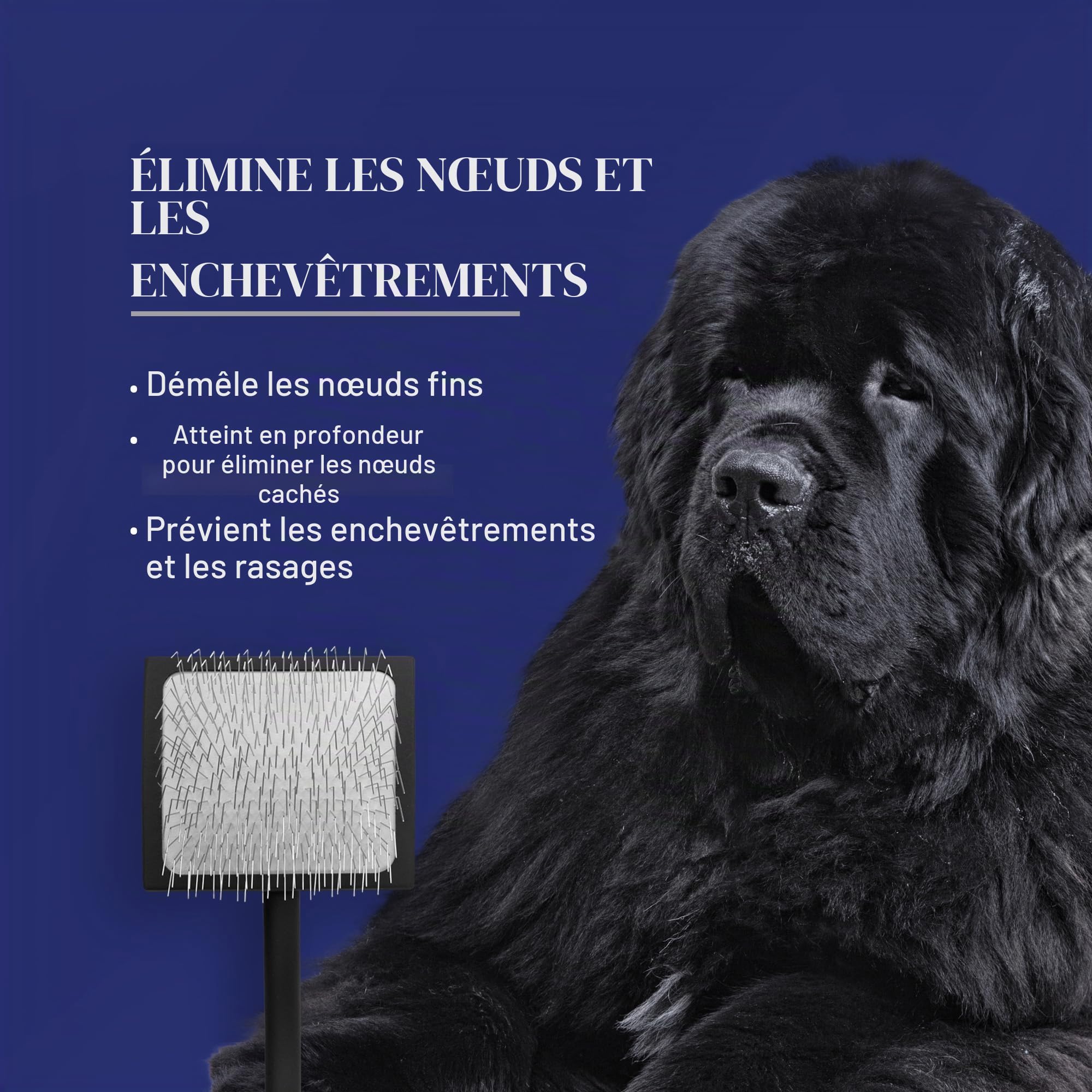 Chris Christensen Baby K Brosse démêlante pour chien Groom Like a Professional Style pelucheux Économie d'énergie Noir Taille S