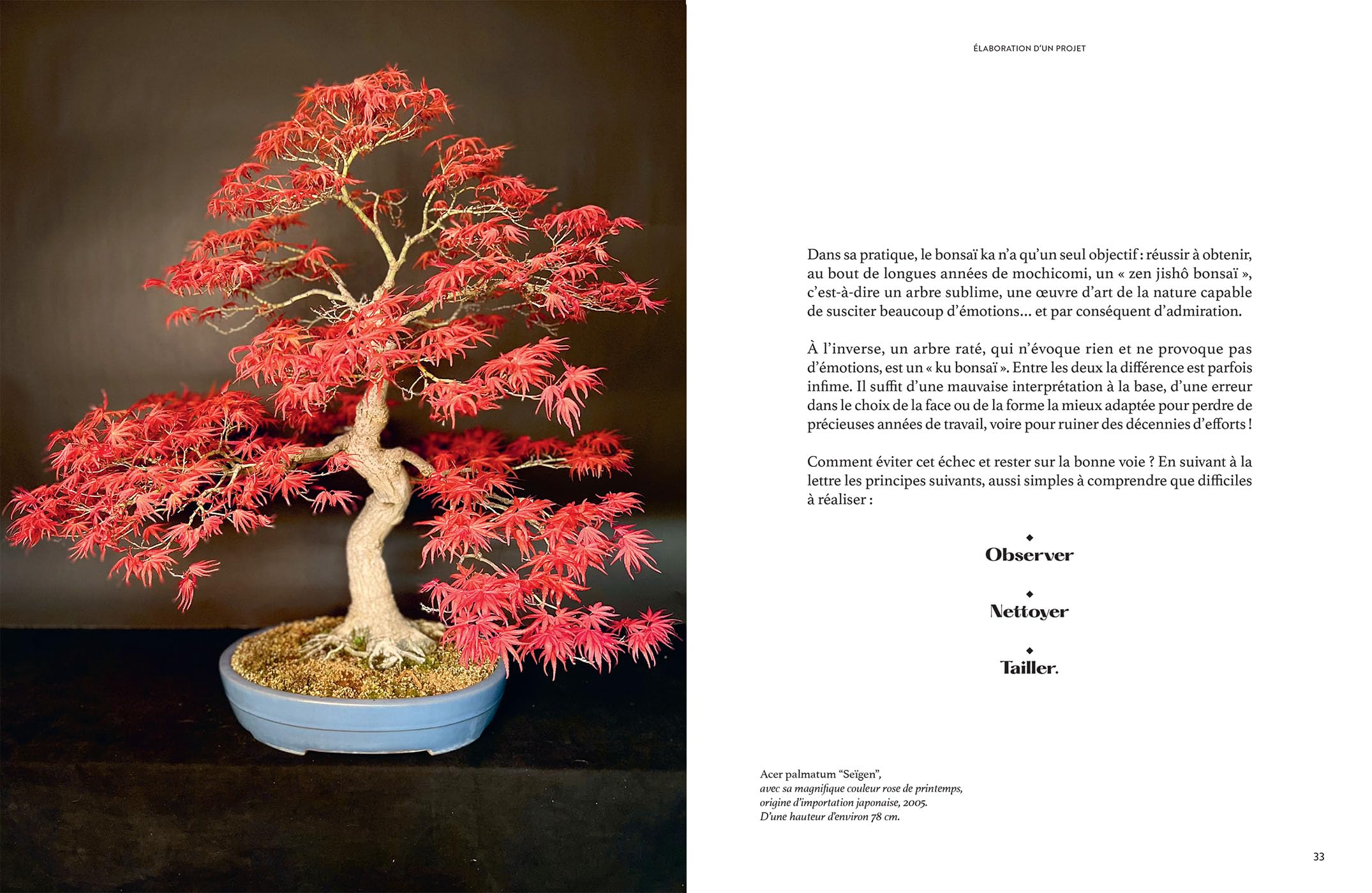 L'art du bonsaï: Tous les conseils pour les choisir, les créer et les cultiver