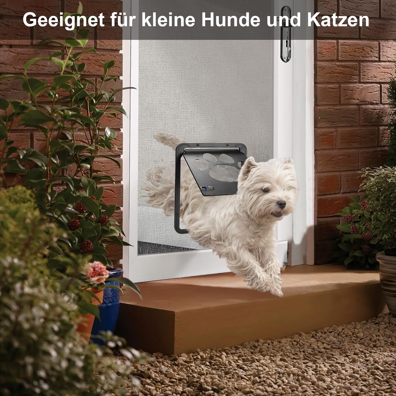 Ownpets Haustierklappe, Katzenklappe für fliegengitter, Magnetische Katzentür mit automatische verschließbare Fliegengitter, 24 * 29 cm auch ideal für kleine Hunde
