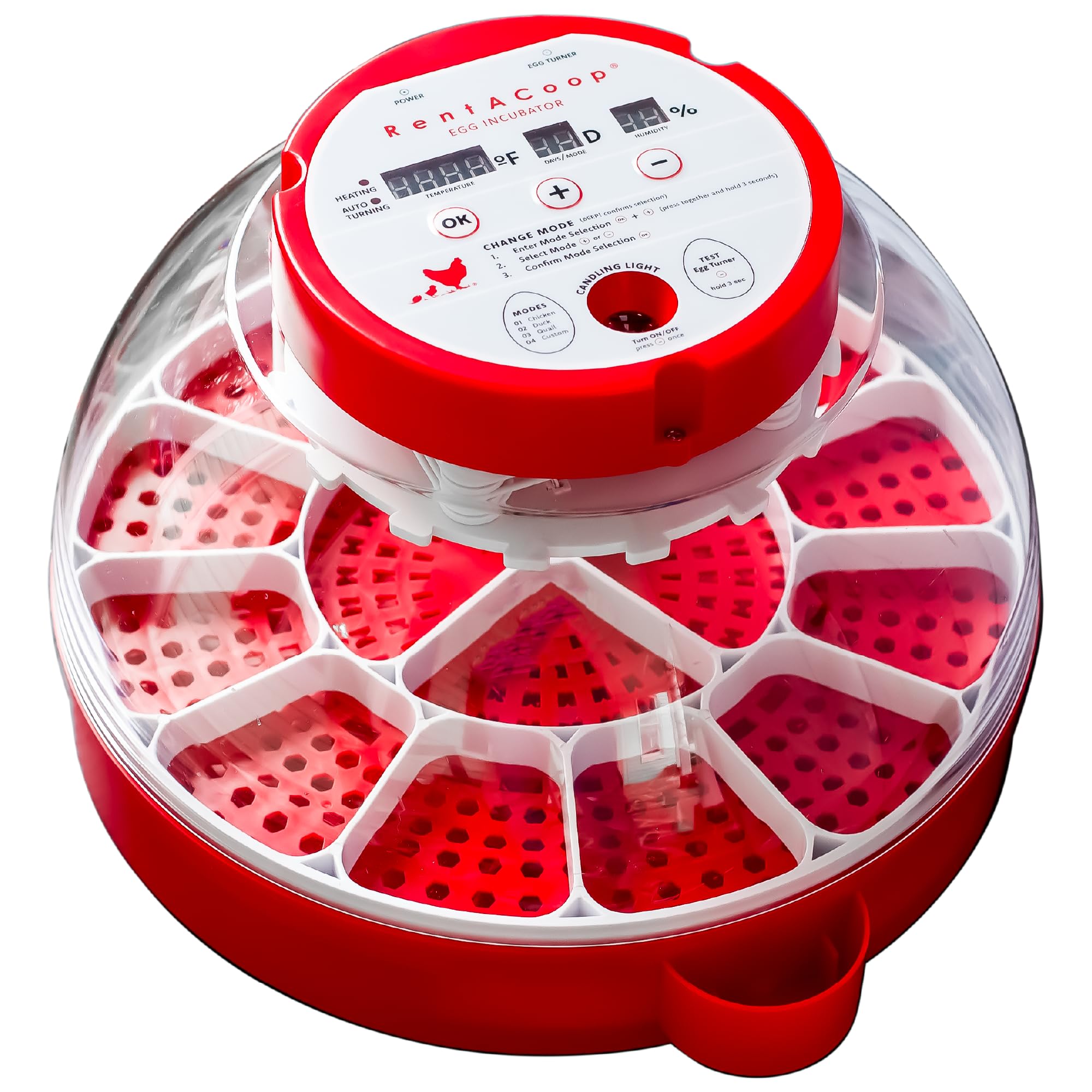 Incubateur intelligent couveuse automatique 16 œufs avec mirage intégré pour canards