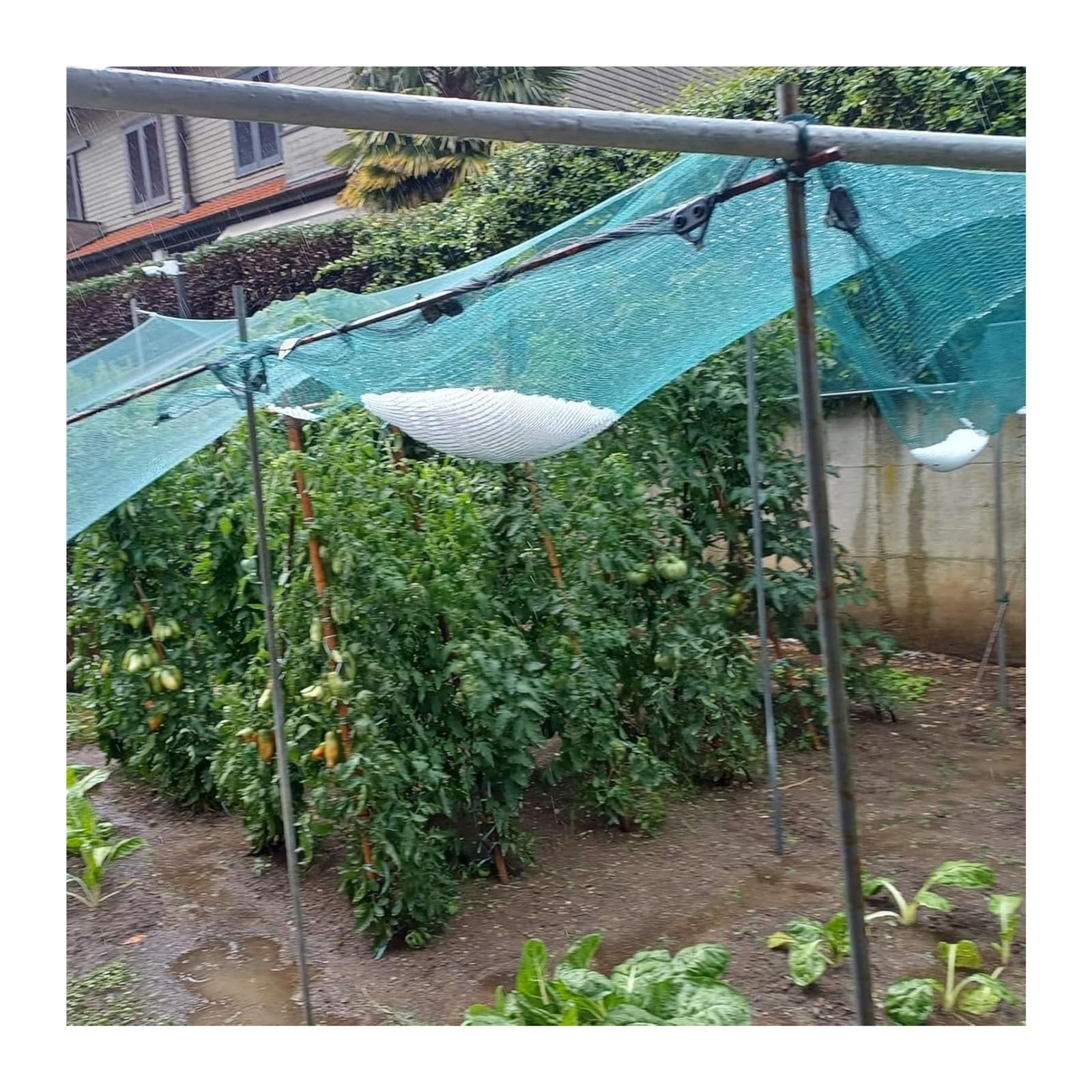 Rete antigrandine da giardino, Rete antigrandine for orto, maglia da 5 mm, verde, misure multiple(10x10m)