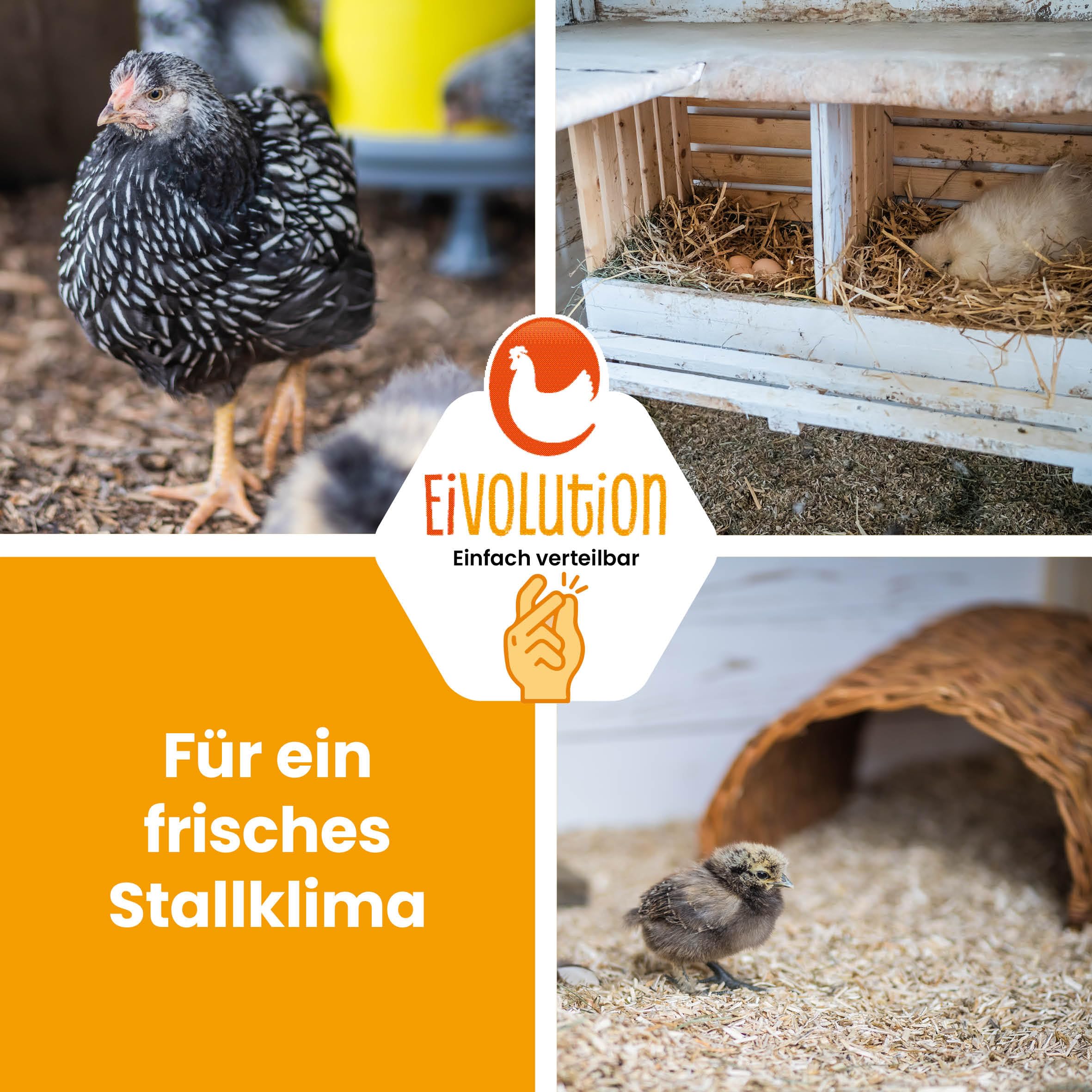 Hanfeinstreu mit Eukalyptus 14 kg - Staubfrei für Hühner & Pferde - Hochsaugfähig Nachhaltig