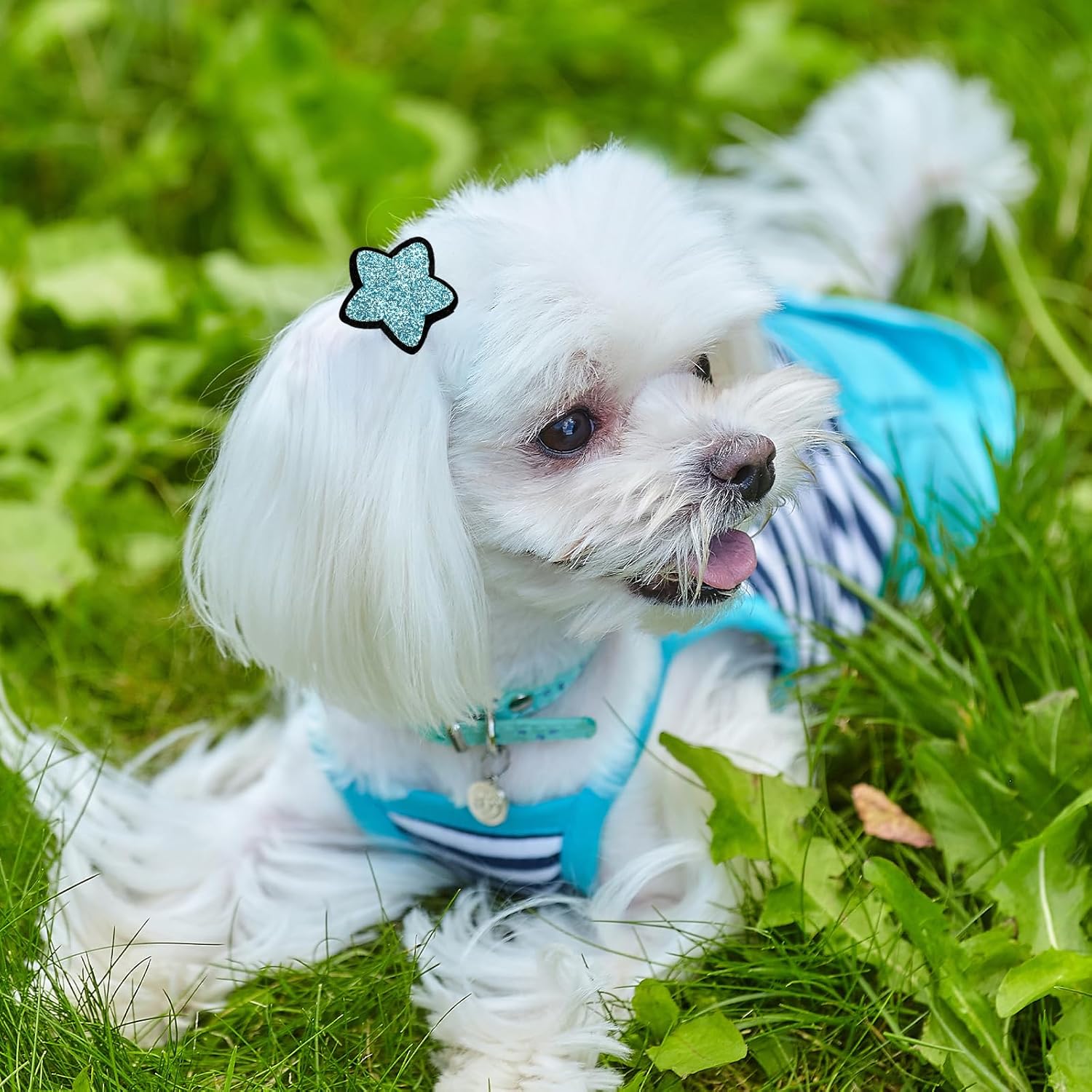 10 Pcs Small Dog Hair Clips Dog Hair Bows Puppy Hair Pins Pet Hair Accessories Puppy Crown Accessories 7