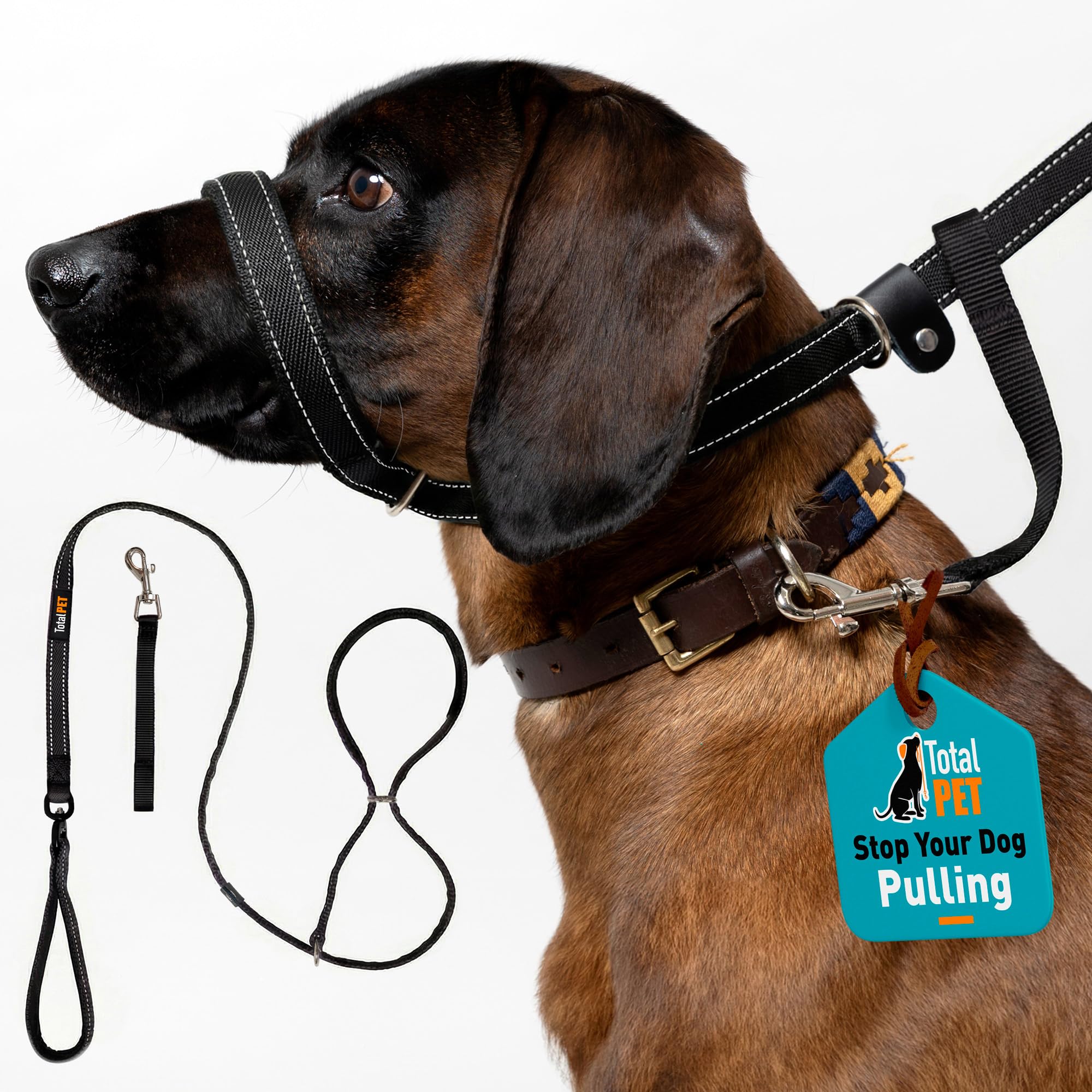 Total Pet Figure of 8 Dog Lead Flat with Anti Tangle Swivel Mechanism – Anti Pull Stop Dogs Pulling – Slip Leads Reflective with Padded Nose Support - 180cm (Green, 210cm)