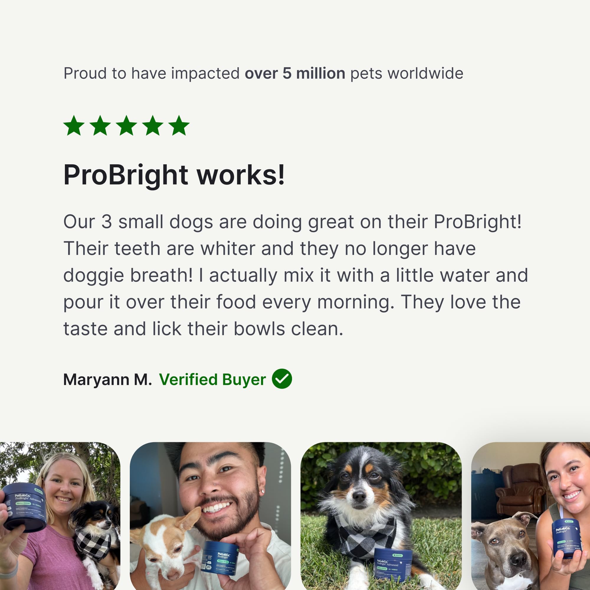 PetLab Co. ProBright Dental Powder - Dog Breath Freshener - Teeth Cleaning Made Easy – Targets Tartar & Bad Breath - Formulated for Extra Small Dogs - Packaging May Vary - image 8