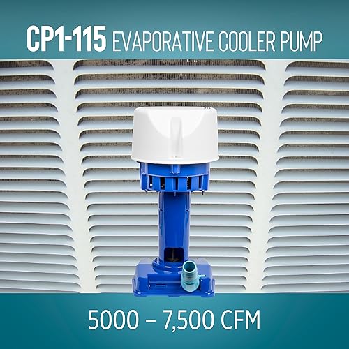 Miniatura 5 de Little Giant CP1-115 170 HP, 115127 voltios, 307 GPH, bomba de refrigeración evaporativa con cable de 6 pies y enchufe de 3 puntas, azul, 540005