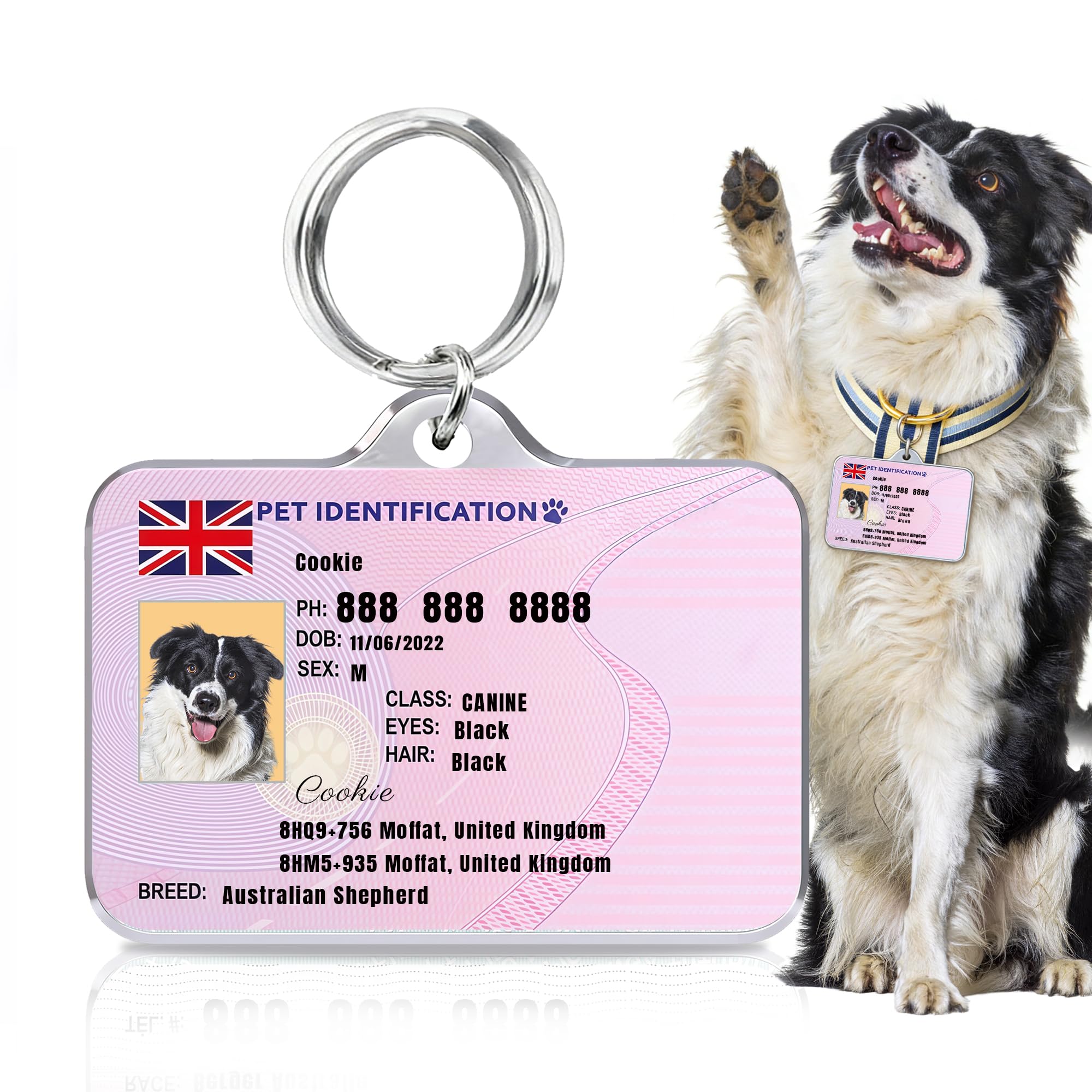 toyofmine Custom Double-Sided Pet ID Tag