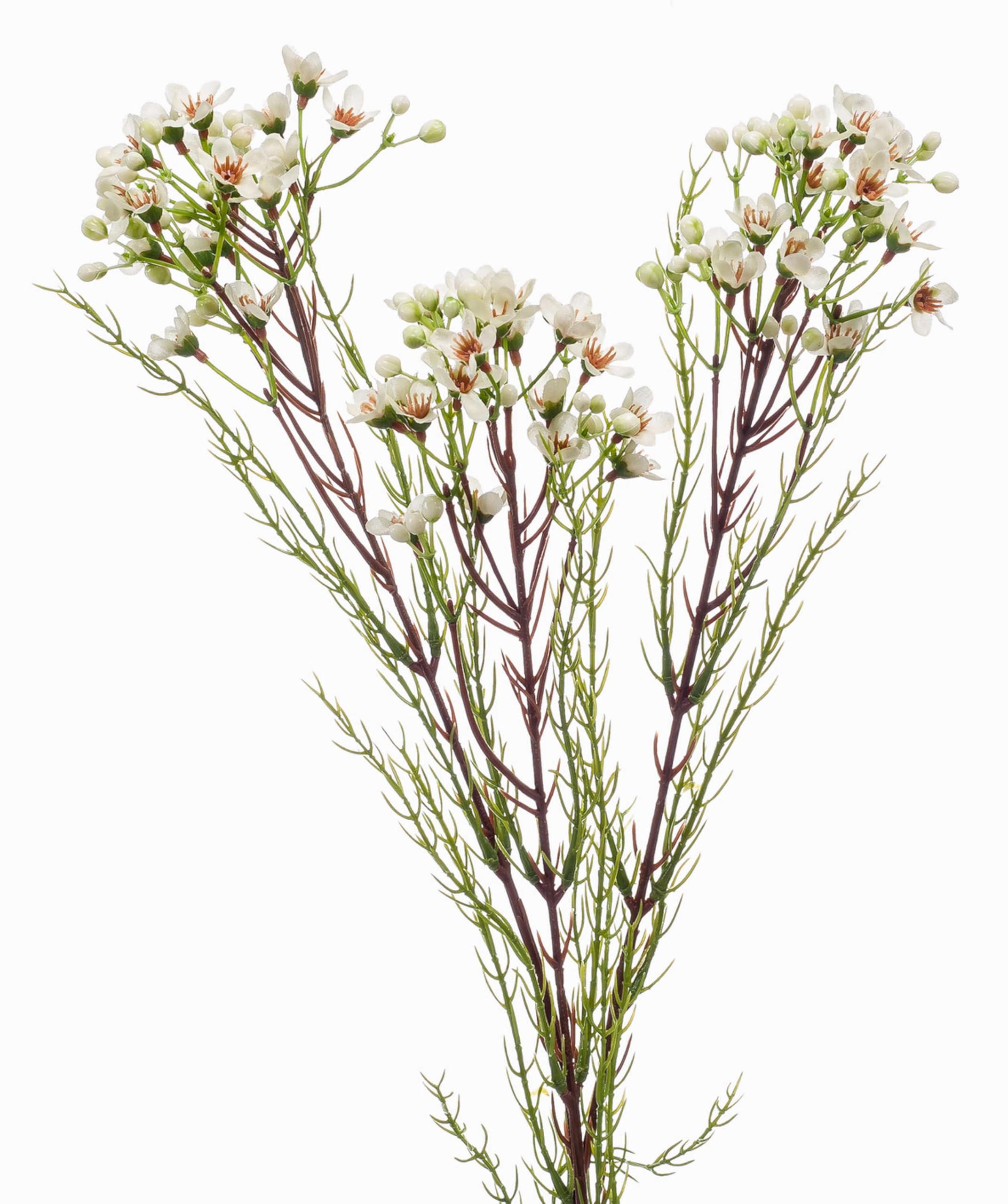 artplants.de Fake wax flower MEDEA, cream, 31"/80cm - Artificial flower/Fake flower