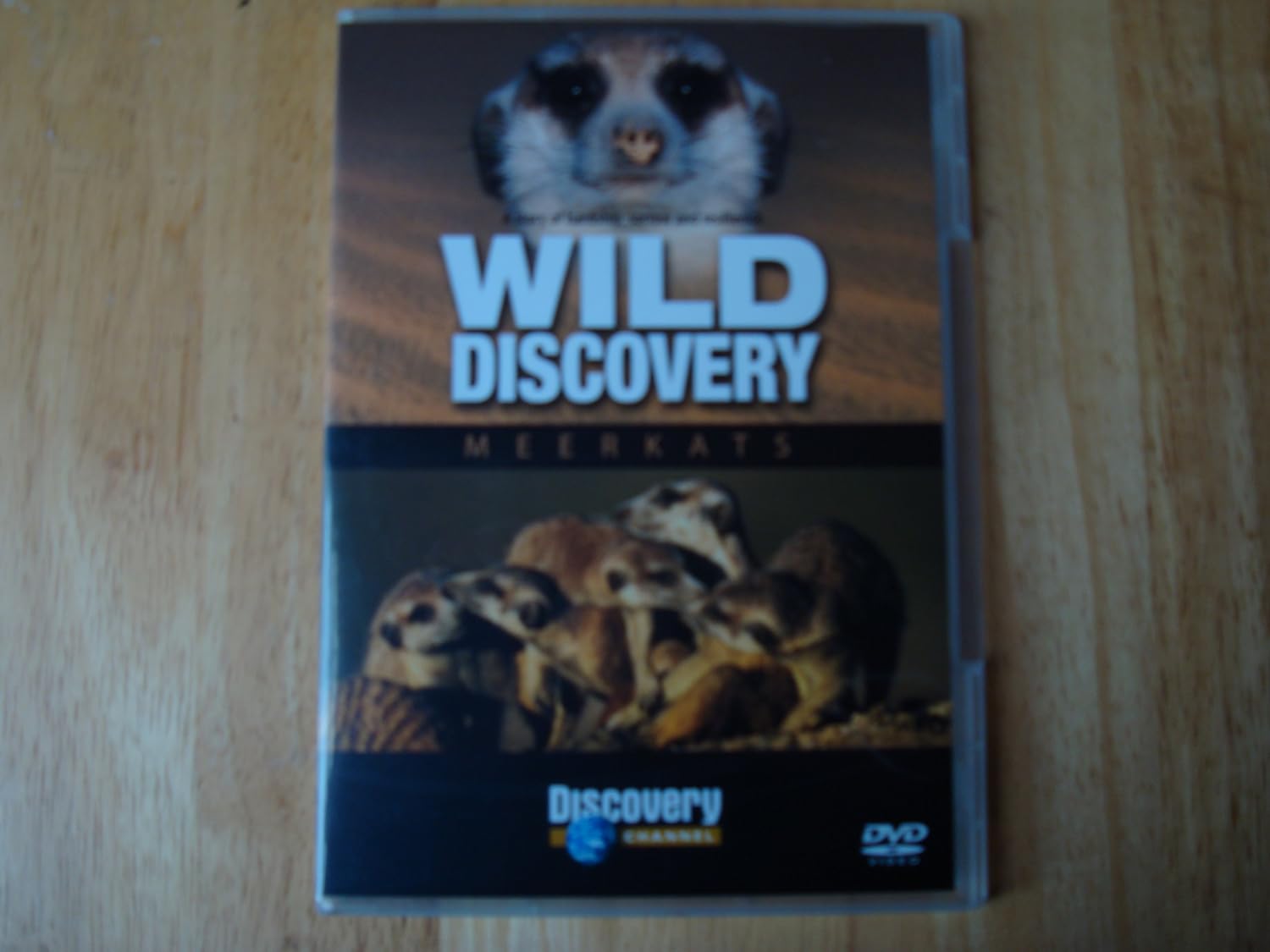 Wild Discovery Meerkats [DVD] Amazon.co.uk DVD & Bluray