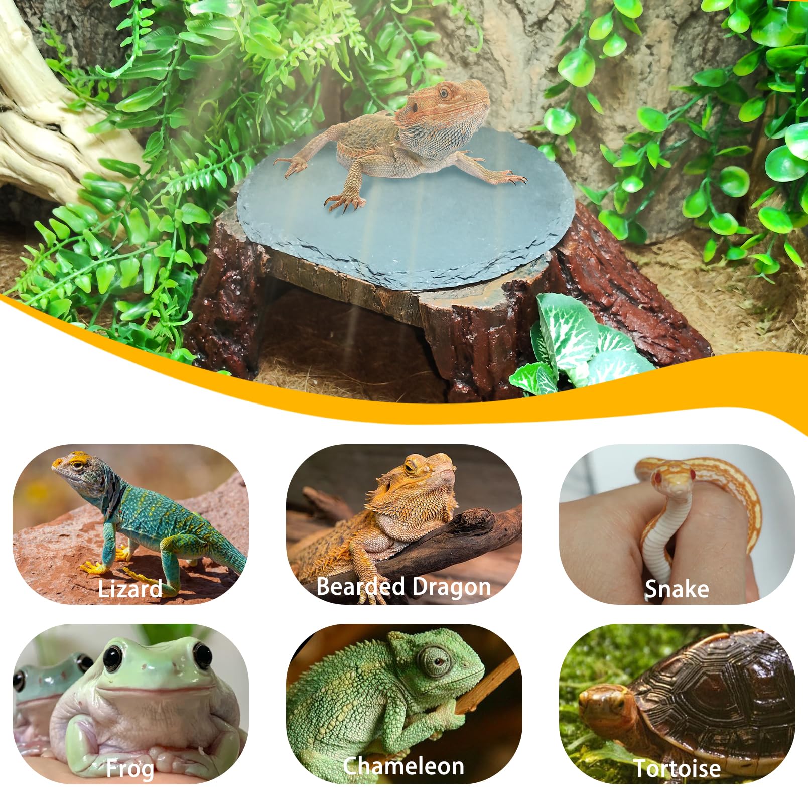 Plataforma de dragón Barbudo, Cueva de Reptiles con Almacenamiento de Calor, Piedra de Pizarra de Almacenamiento de Calor, decoración de Escalada en Roca de geco de Leopardo para Tortuga