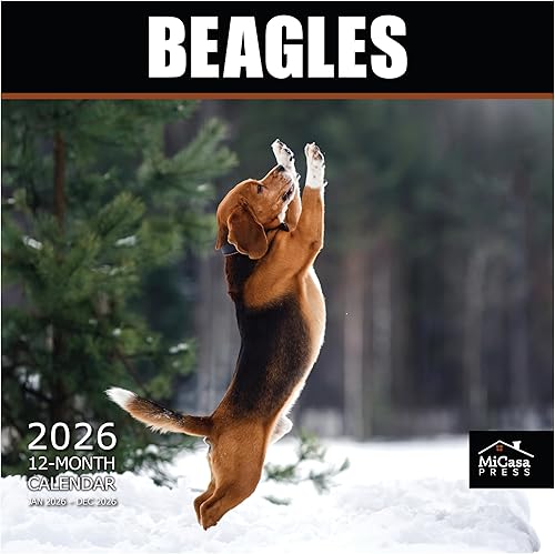 MICASA Beagles - Calendario mensual de pared colgante 2024 12 x 24 pulgadas abierto Papel grueso y resistente Regalo Lindo perro de caza