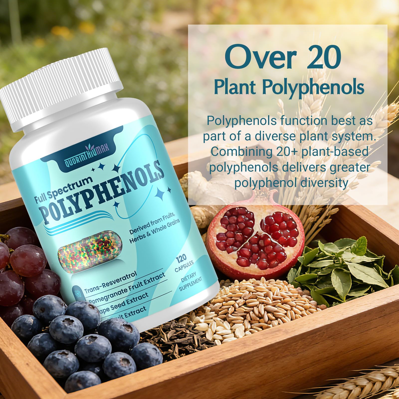 (240 Count) Polyphenols Supplement 1500mg – Over 20 Fruit, Herbal & Cereal Full Spectrum Polyphenol Complex with Resveratrol, Grape Seed & Green Tea – Tri-Color MicroBeadlets – Powerful Antioxidant — Amazon image 7
