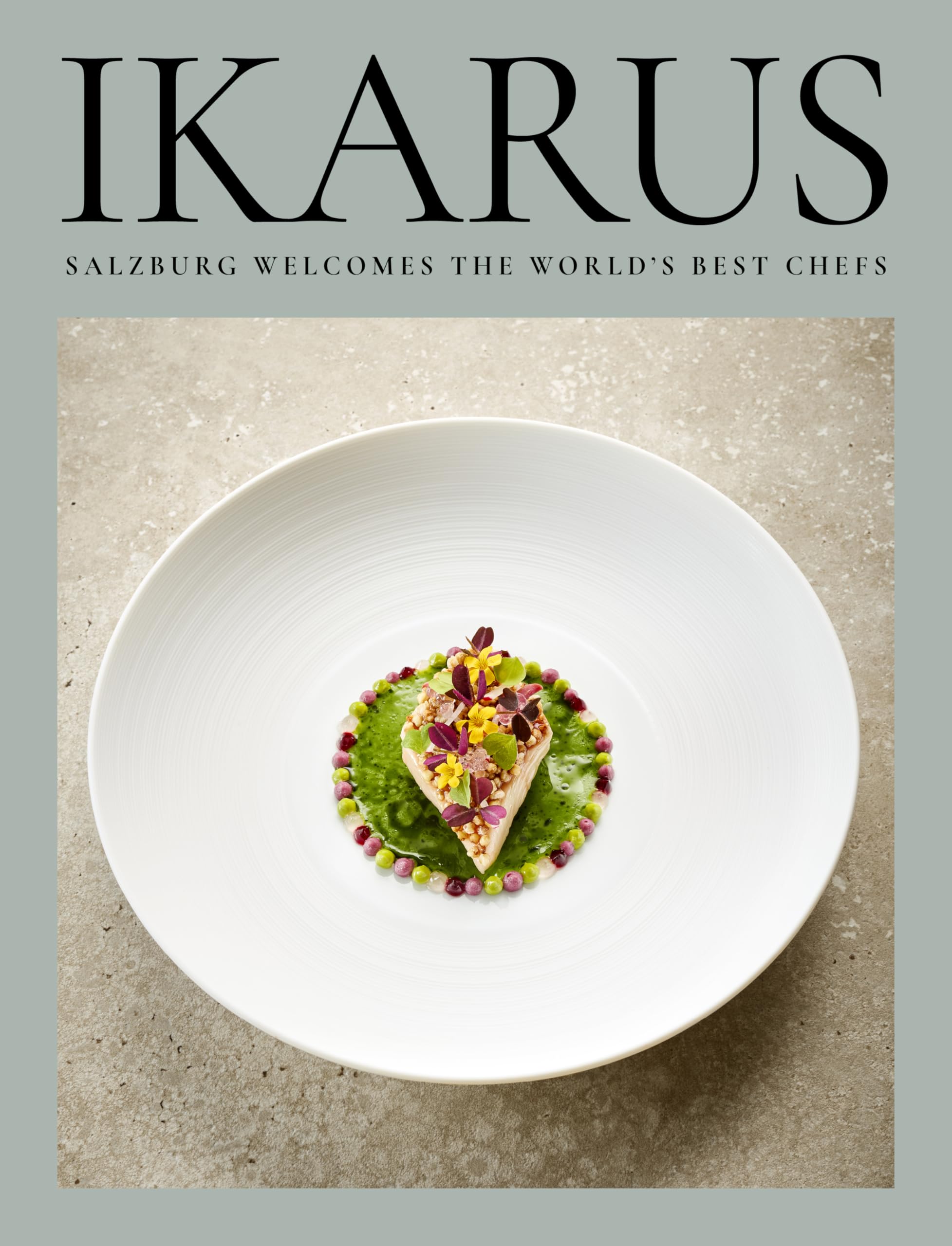 Ikarus by Martin Klein HARDBACK 9783710902338