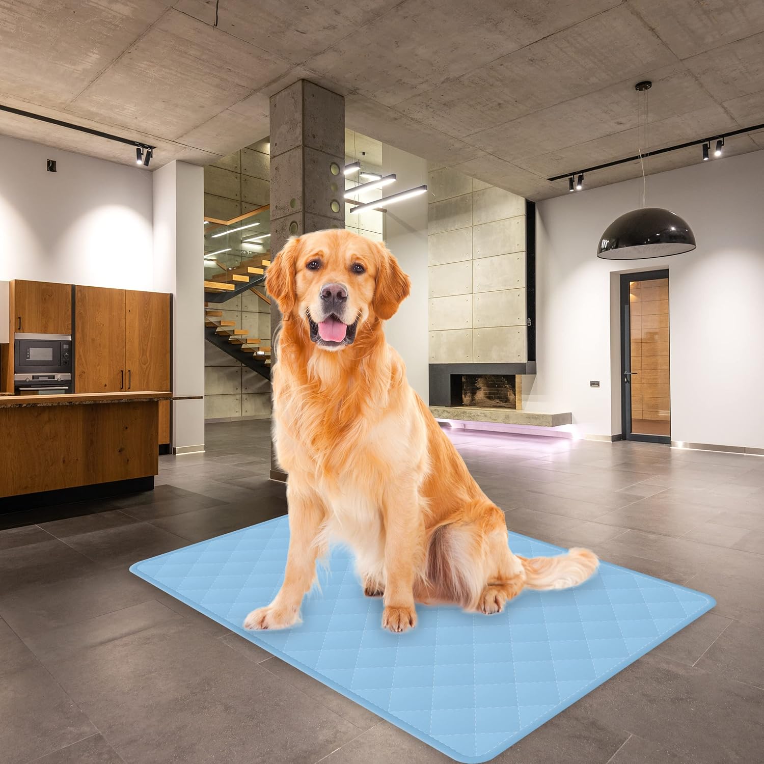 HONEY CARE Washable Dog Pee Pads 24" x 35" (Pack of 2