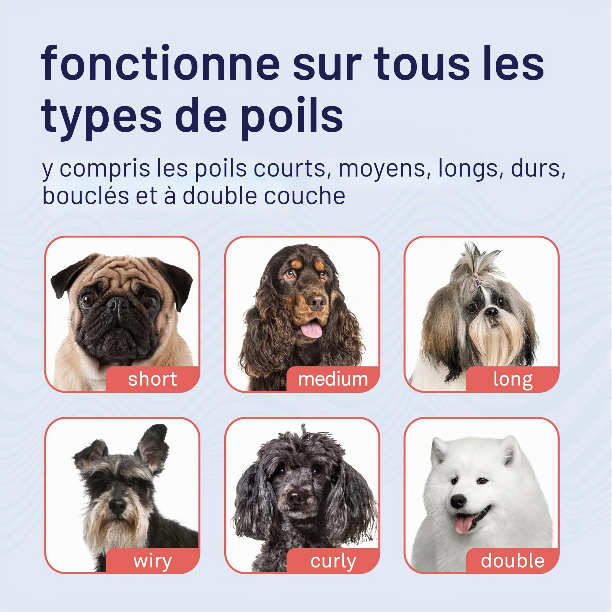 Petpost | Spray désodorisant pour Chiens et Chats - Désodorisant naturellement Efficace et Anti-Mauvaises odeurs - À pulvériser sur Votre Animal ou dans la Maison