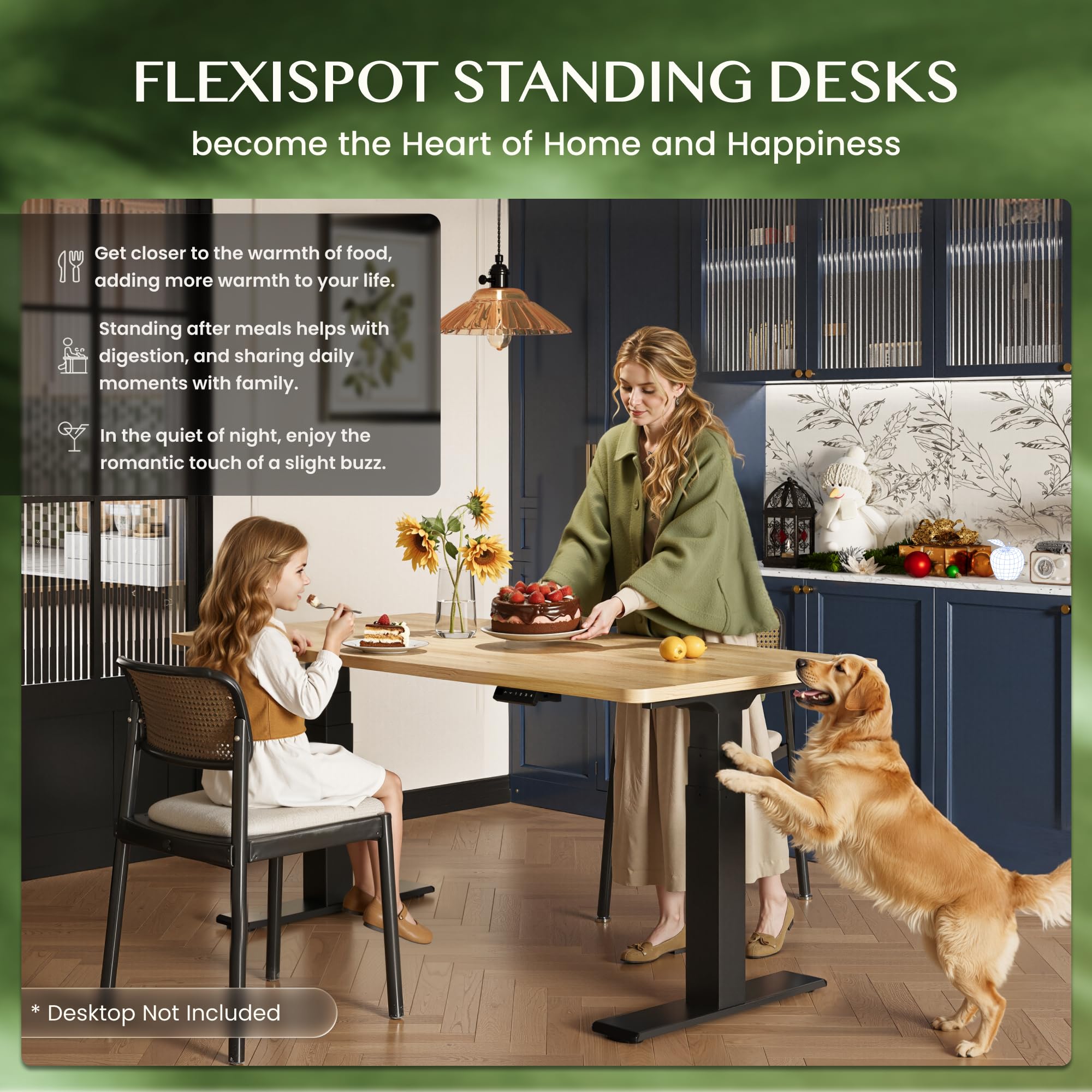 FLEXISPOT Höhenverstellbarer Schreibtisch Gestell, elektrisch mit 2 Motoren, 3-stufiges Tischgestell höhenverstellbar mit 4 Memory-Steuerung & USB, Belastbar bis 200 KG (ValtreX E200, Schwarz)