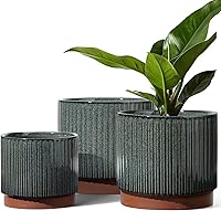 LETAUCI Ceramic Plant Pots with Drainage Holes - Set of 3 (8+6.7+5.5 Inch) Reactive Glaze Black Stripe Planters for Indoor Outdoor Succulents