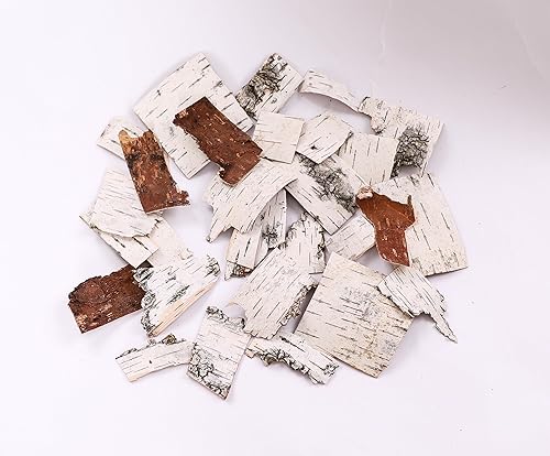 Miniatura 2 de Hojas de corteza de abedul natural para decoración de manualidades de diferentes tamaños de hojas de abedul (30 hojas de corteza de abedul)