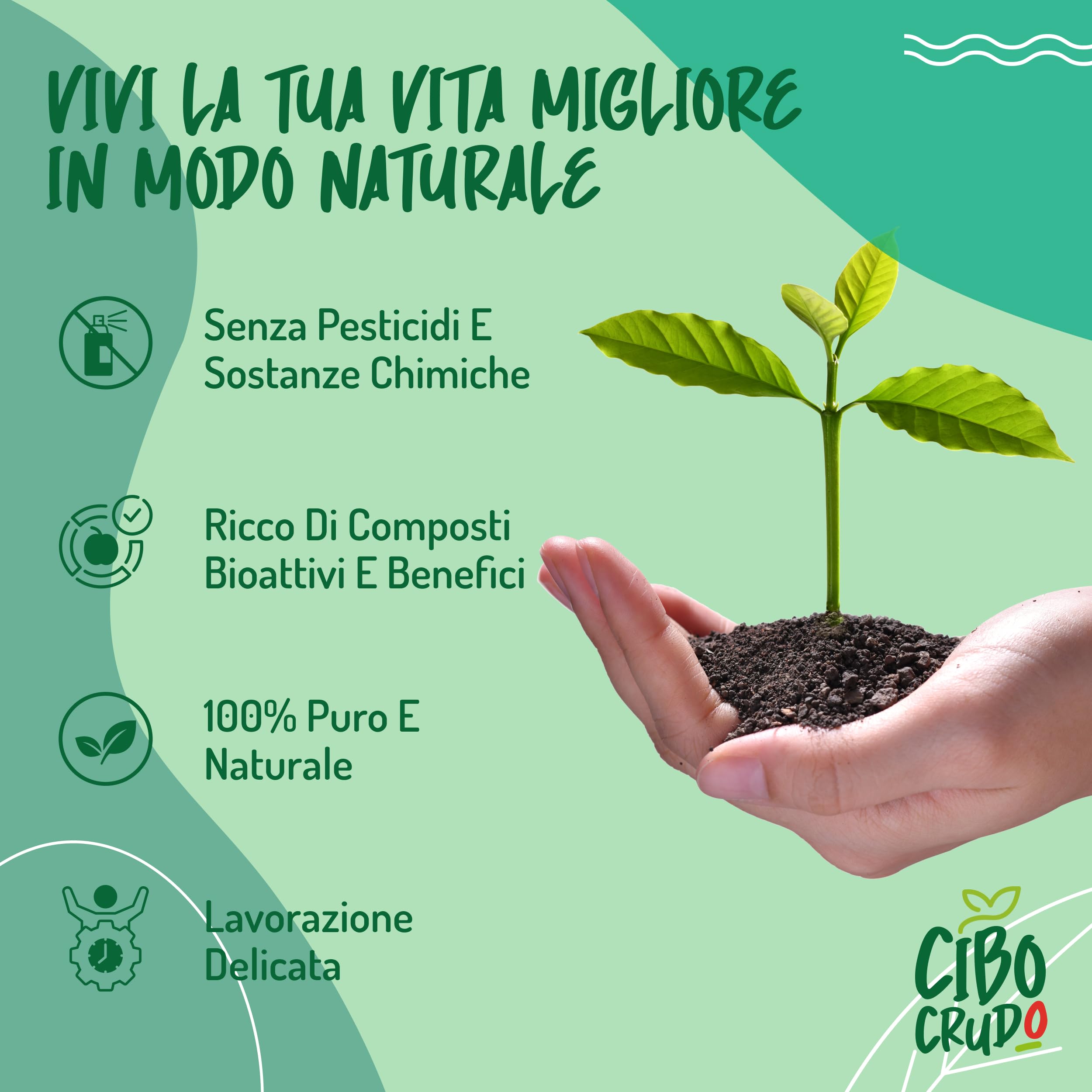 Reishi Ganoderma Lucidum Puro e Bio in Polvere - 300g. Fungo Reishi Biologico Essiccato al Sole e Macinato a Basse Temperature. Funghi medicinali Fonte di Antiossidanti, Fungo Cinese Reishi