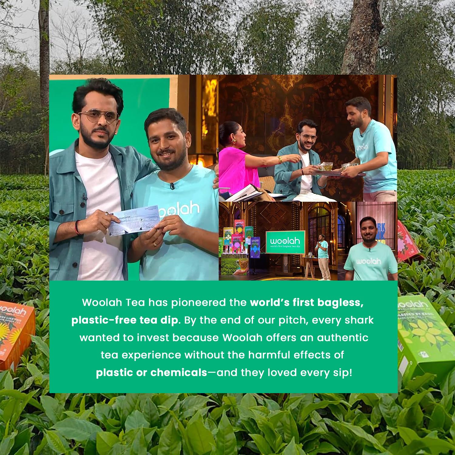 Woolah Rare Assam Green Tea With Tulsi, Organic Bagless Tea Dip (8 Packs = 120 Dips /240 Cups) 100% Plastic Free, Natural Whole Leaf, High Antioxidants Supports Weight Management, Improves Skin, Improves Digestive & Heart Health. — Amazon image 6