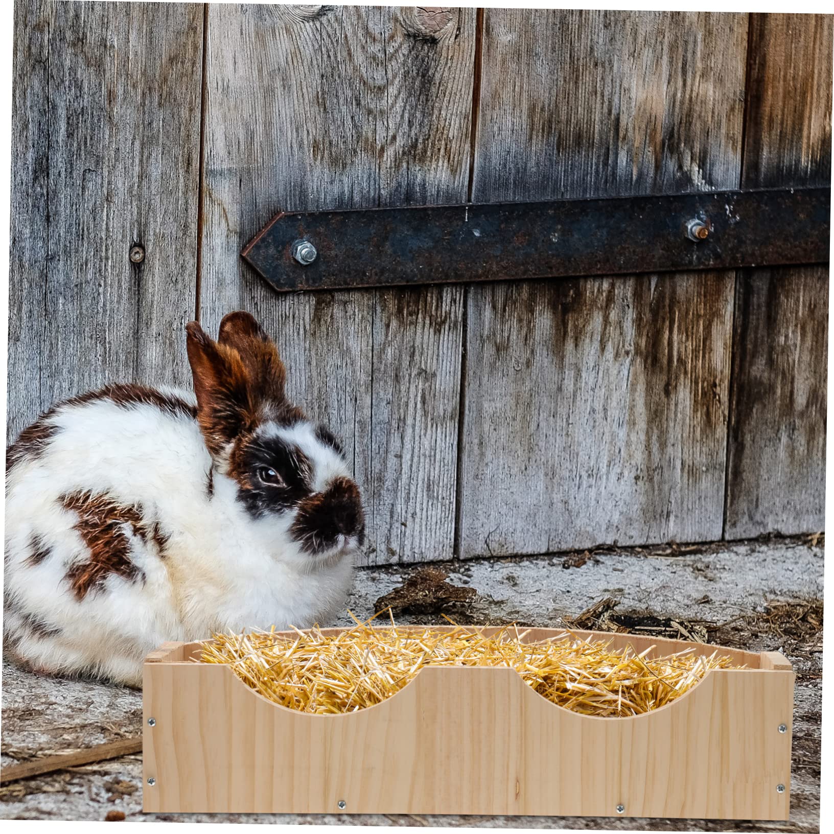 Hängendes Kaninchenfutter mit Fixator Kaninchengestell und Großer Futterrinne für Meerschweinchen und Chinchillas Einfach zu Bedienen