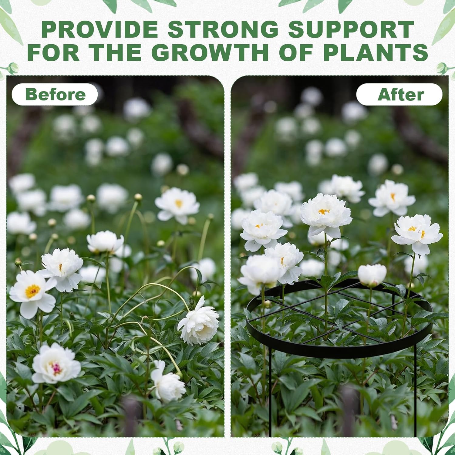Geelin 2 Pack 23.6'' x 15.8'' Large Peony Cage and Supports Durable Round Garden Flower Rings Tall Plant Support Stakes Cage for Outdoor Peonies Tomato Enhances Peony Planting Success Secure Grounding