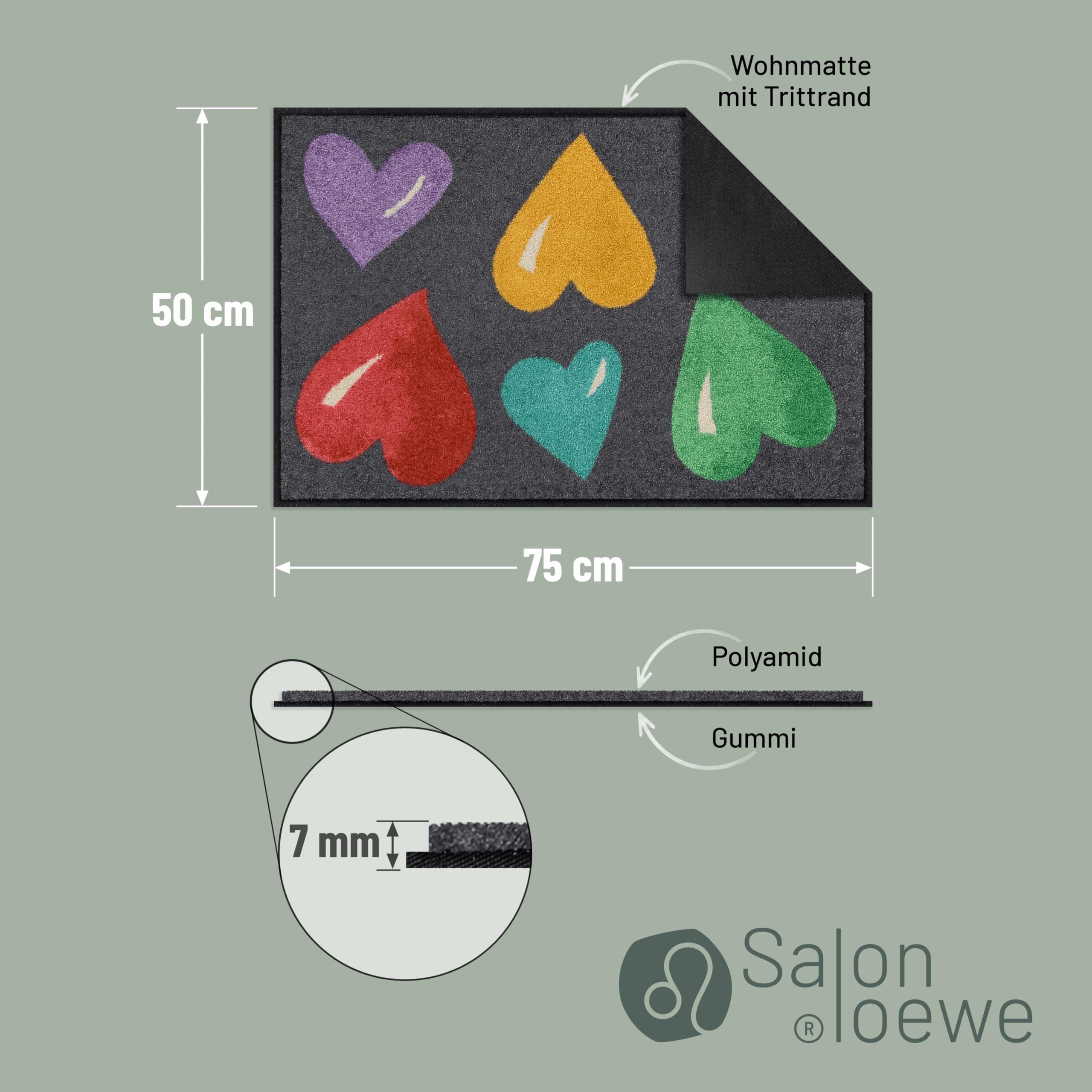 Salonloewe Felpudo 050 x 075 cm Big Hearts Colourful felpudo para interior y exterior, felpudo para limpiar la suciedad