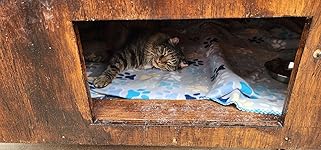 Review Image by Traci Traci