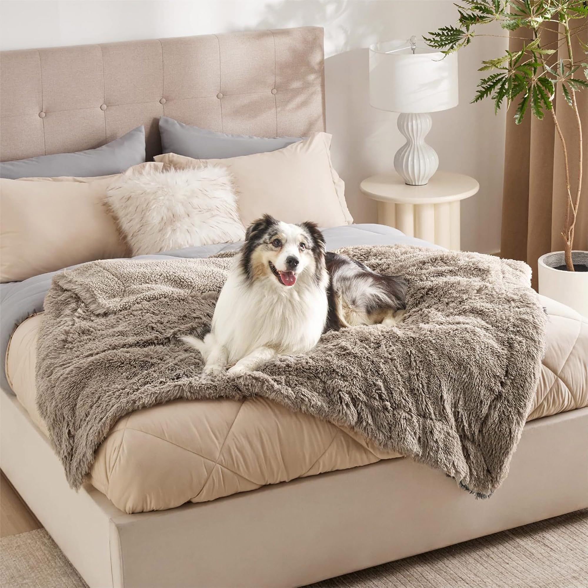 Manta para mascotas, mantas para perros pequeños, medianos y grandes, gatos, mantas de cama para cachorros, tapetes para dormir cálidos, tapetes lavables para muebles para sofá, asiento de
