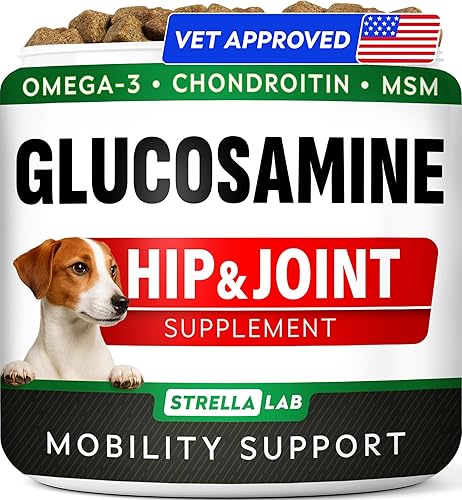 Golosinas de glucosamina para perros, suplemento para articulaciones con aceite de pescado omega-3, condroitina, MSM, masticables de movilidad