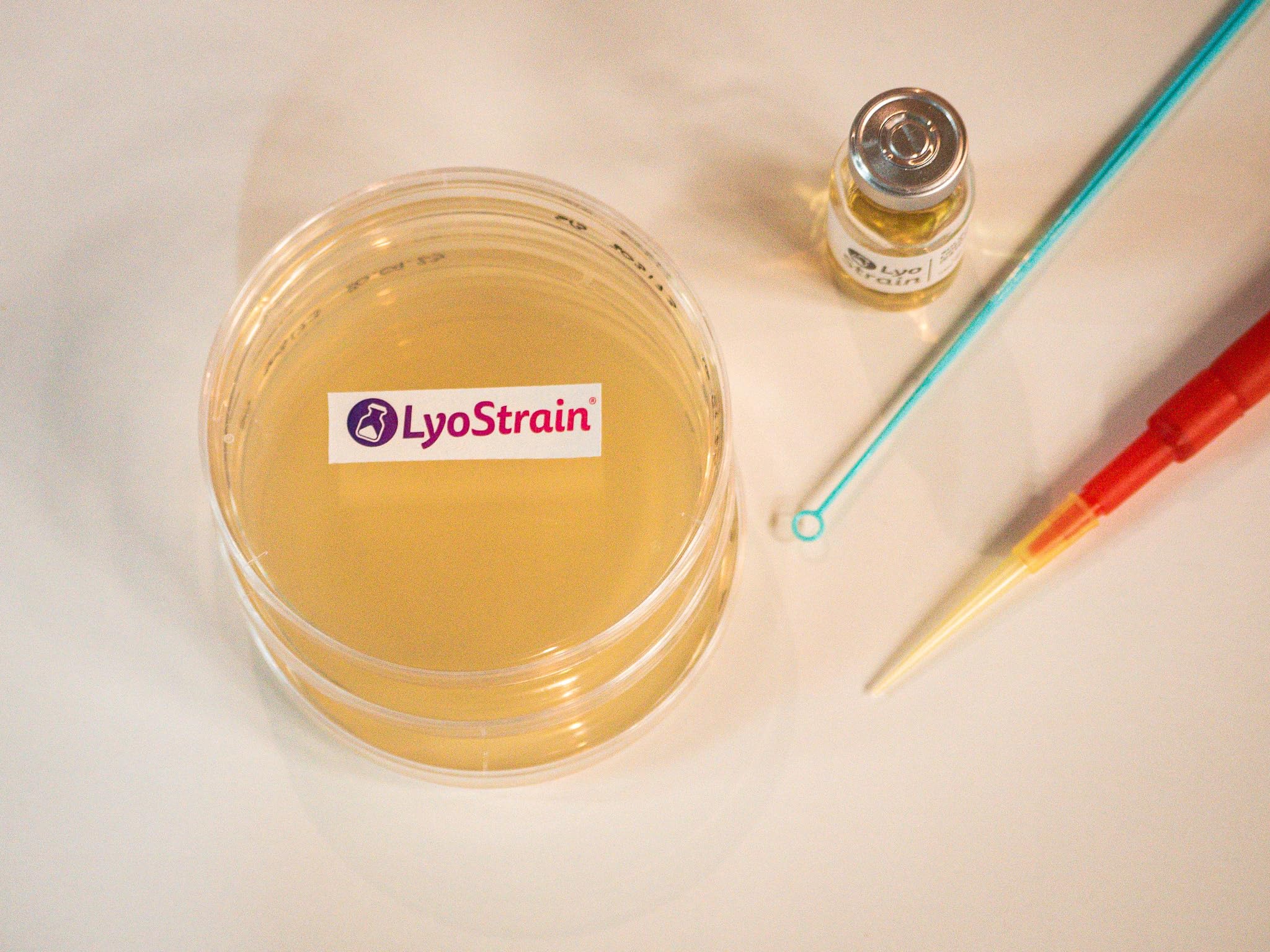 PLACAS AGAR TSA CRECIMIENTO GENERAL BACTERIAS - 20 PLACAS PETRI CON AGAR - MEDIO CULTIVO MICROBIOLOGICO