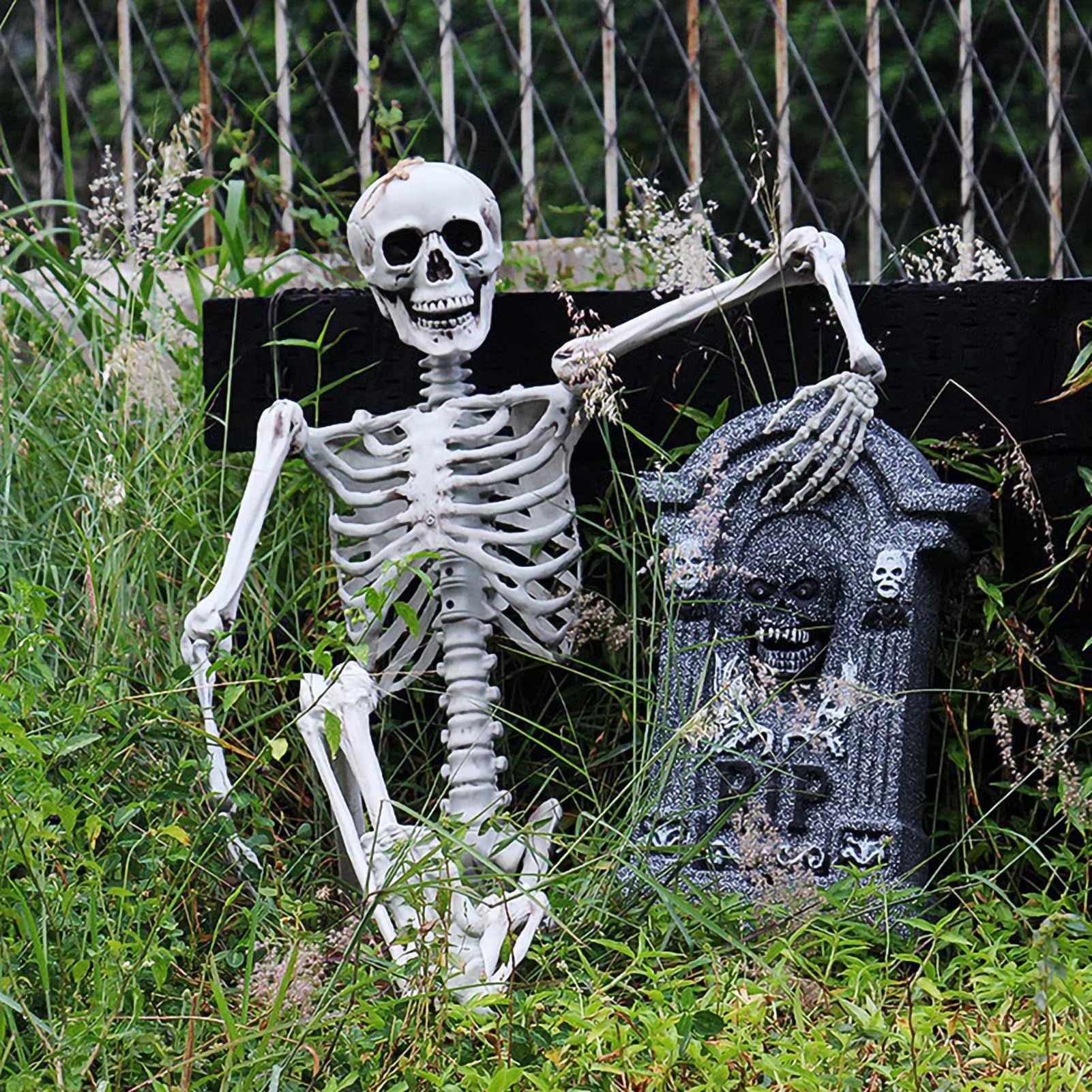 Warmiehomy Halloween Skeleton Life Size 165cm/5ft Skeleton Halloween Decorations Props Human Full Body Model Bones for Halloween Decor Spooky Party Graveyard Haunted House Decoration