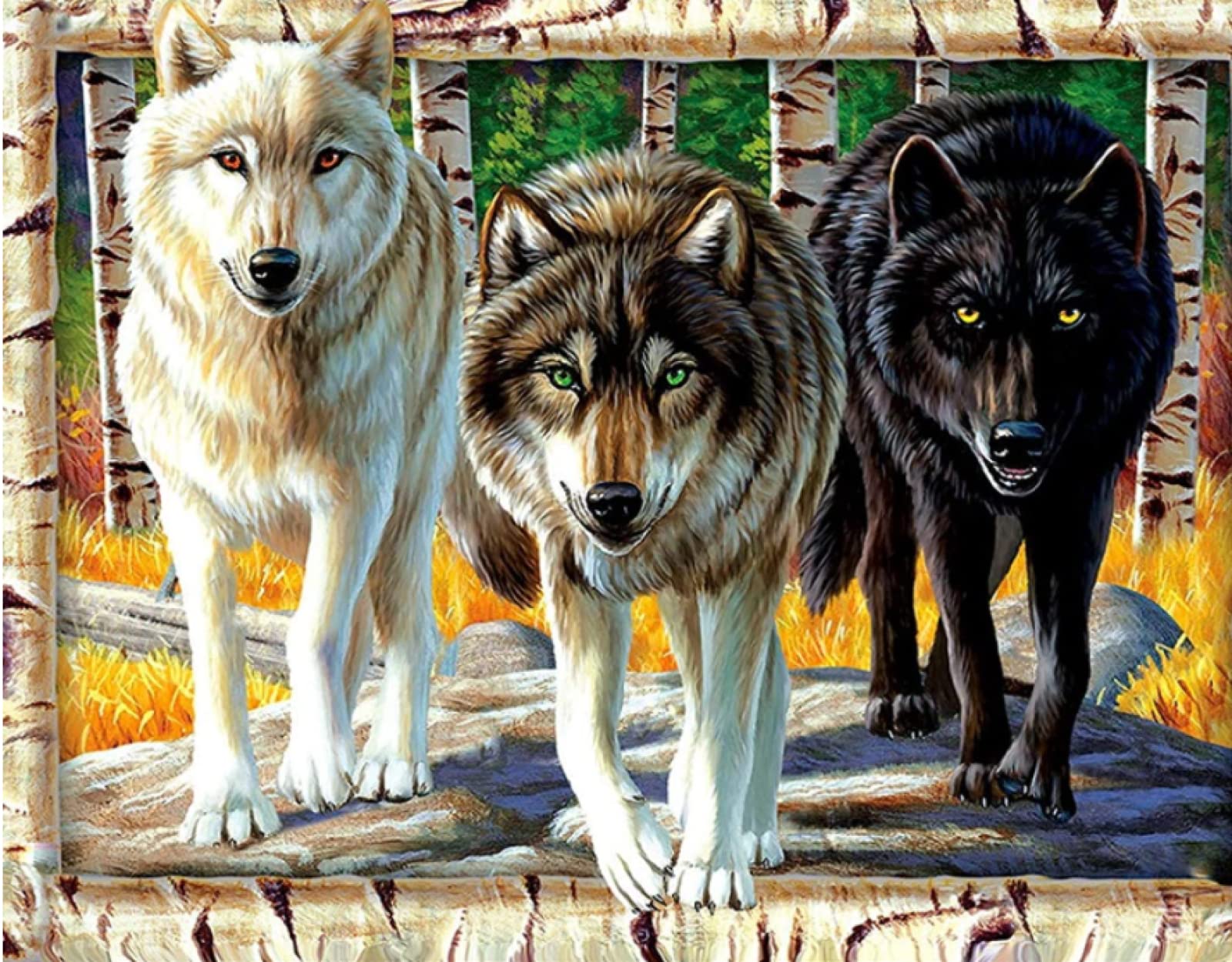 Amazon.co.jp: Dipema ダイヤモンドアート、Animal Wolf Three