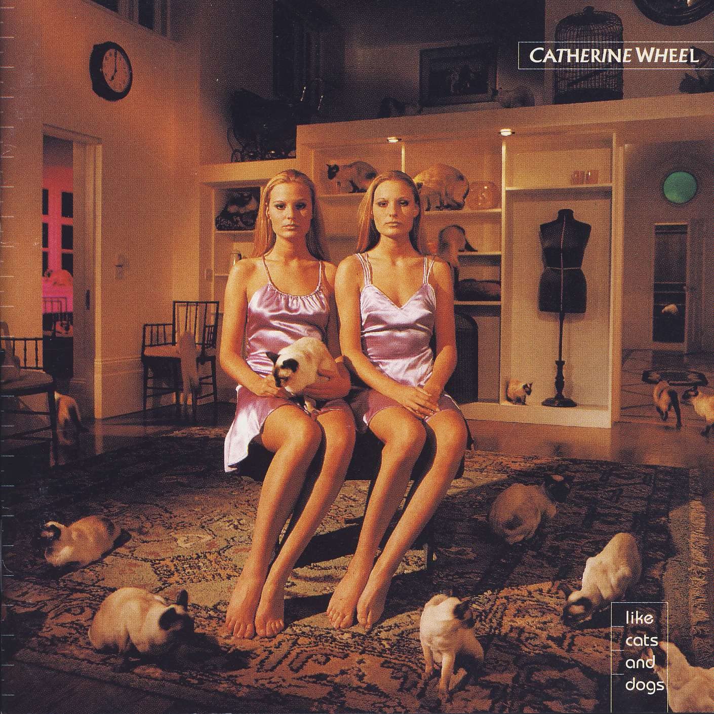 Like Cats & Dogs [Audio CD]