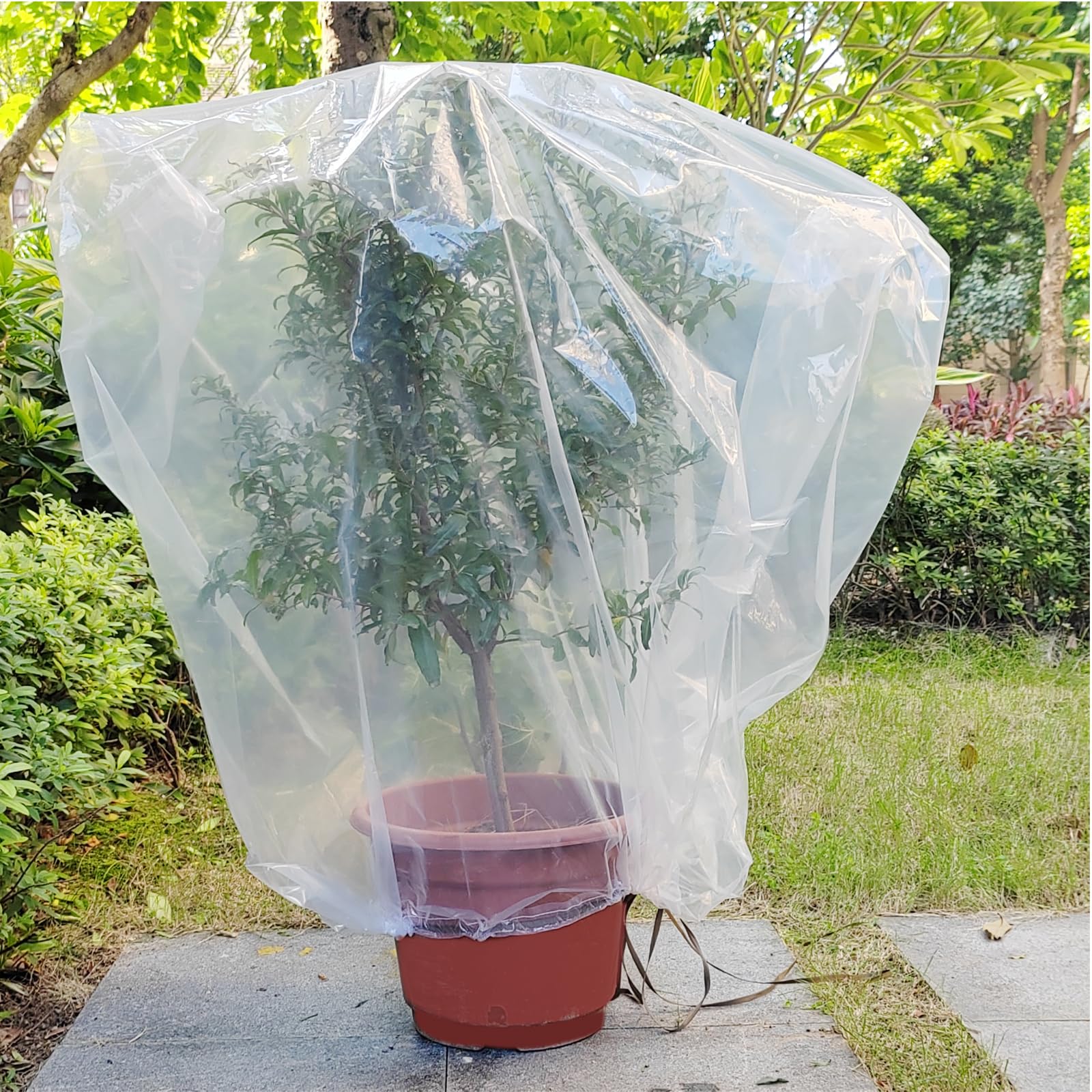 Amazon.com : LHongL Plant Covers Freeze Protection Frost,6 mil Transparent  Plastics with Drawstring Greenhouse,Plant Shrub Frost Cover Bags for  Saplings, Rose Bushes, Baby Trees(Plastic,47" W39 H,2pcs) : Patio, Lawn &  Garden