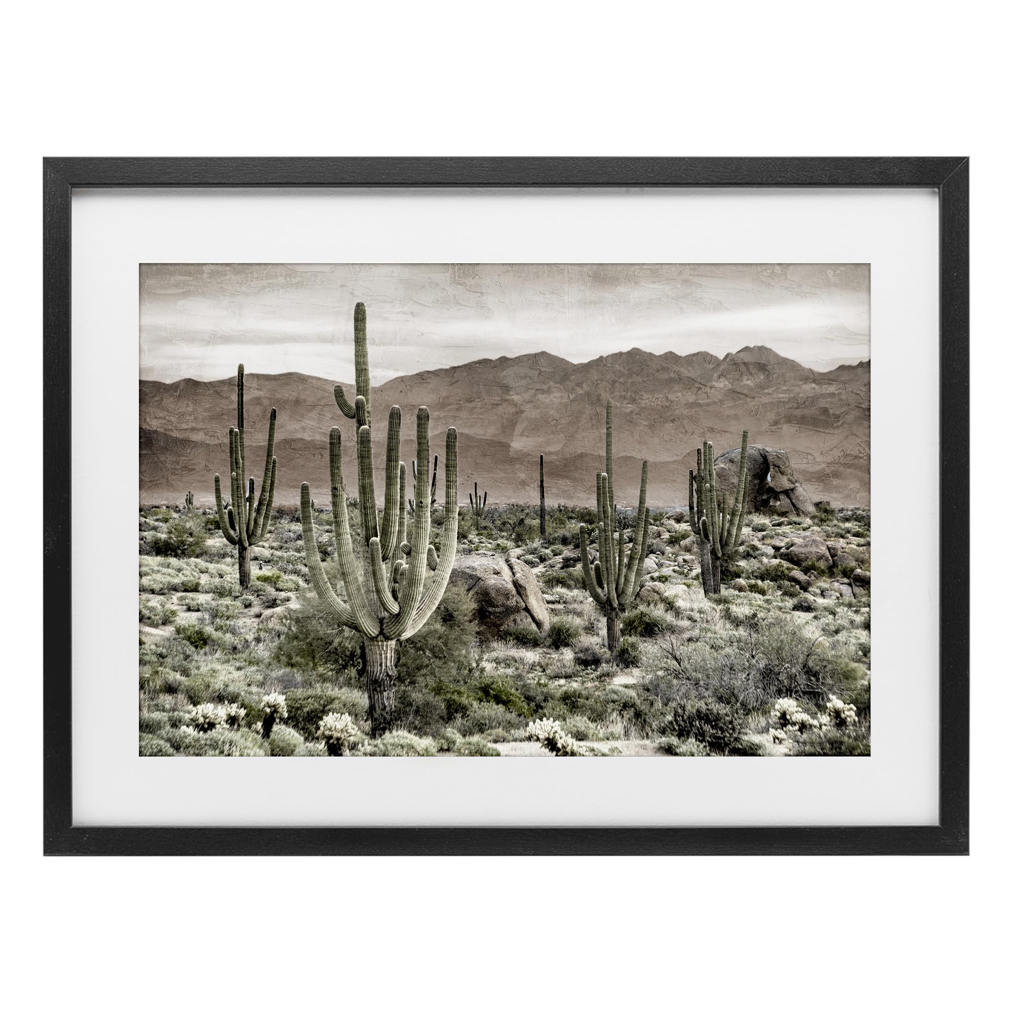 Stupell Industries Midnight Black (Textured) Desert Cacti Wilderness Landscape, 14 X 20 Inch Framed Print Under Glass