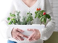 Vista 7 de D'vine Dev - Juego de 2 macetas para ventana de 12 pulgadas, maceta rectangular de plástico para hierbas con orificios de drenaje y bandeja, maceta