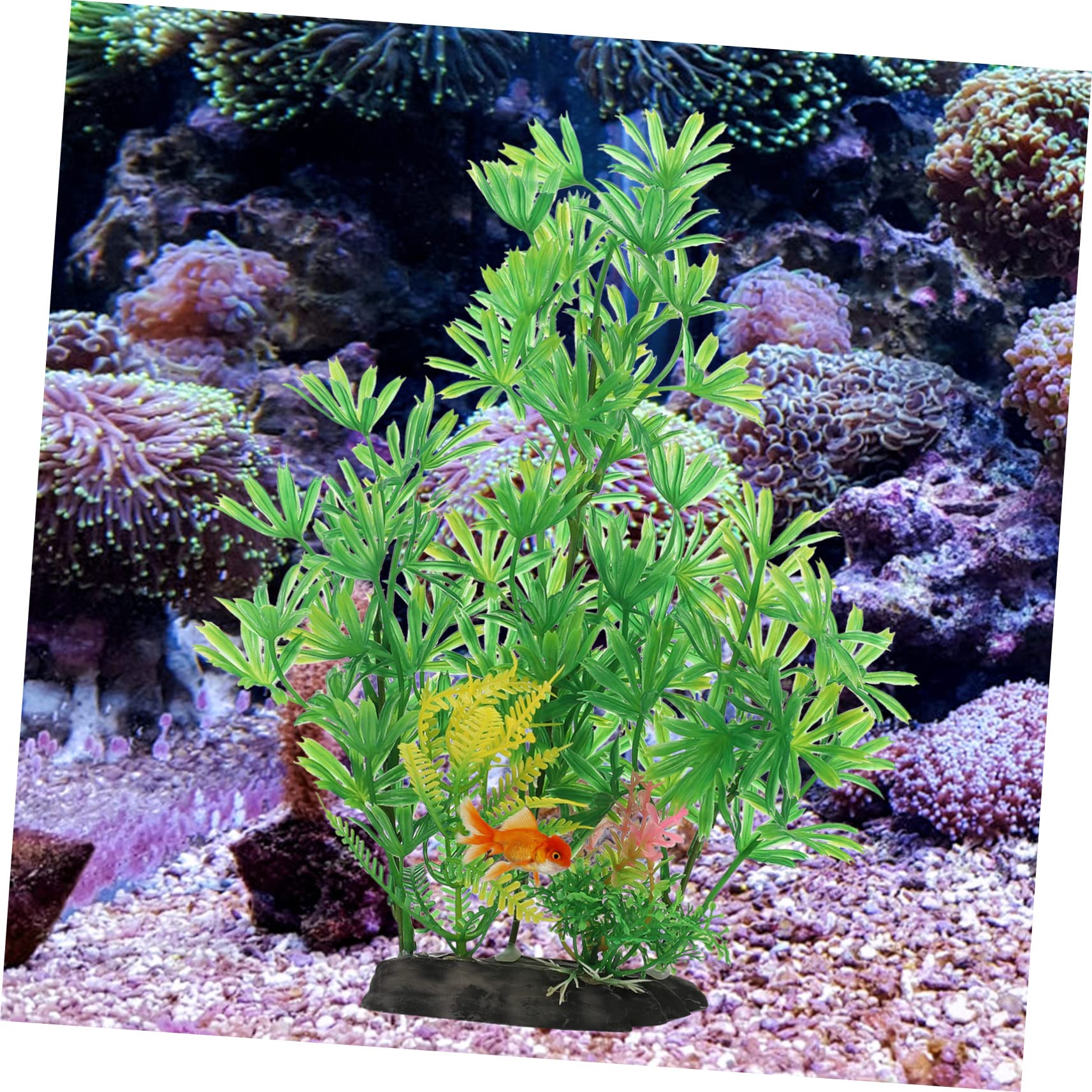 Sosoport 5 Sätze Aquarienlandschaft Wasserpflanzen Süßwasseraquarium Gefälschte Pflanzen Pflanzenaufhänger Drinnen Kleine Aquarienpflanzen Künstliche Aquarienpflanzen Plastik 2 Stück * 5