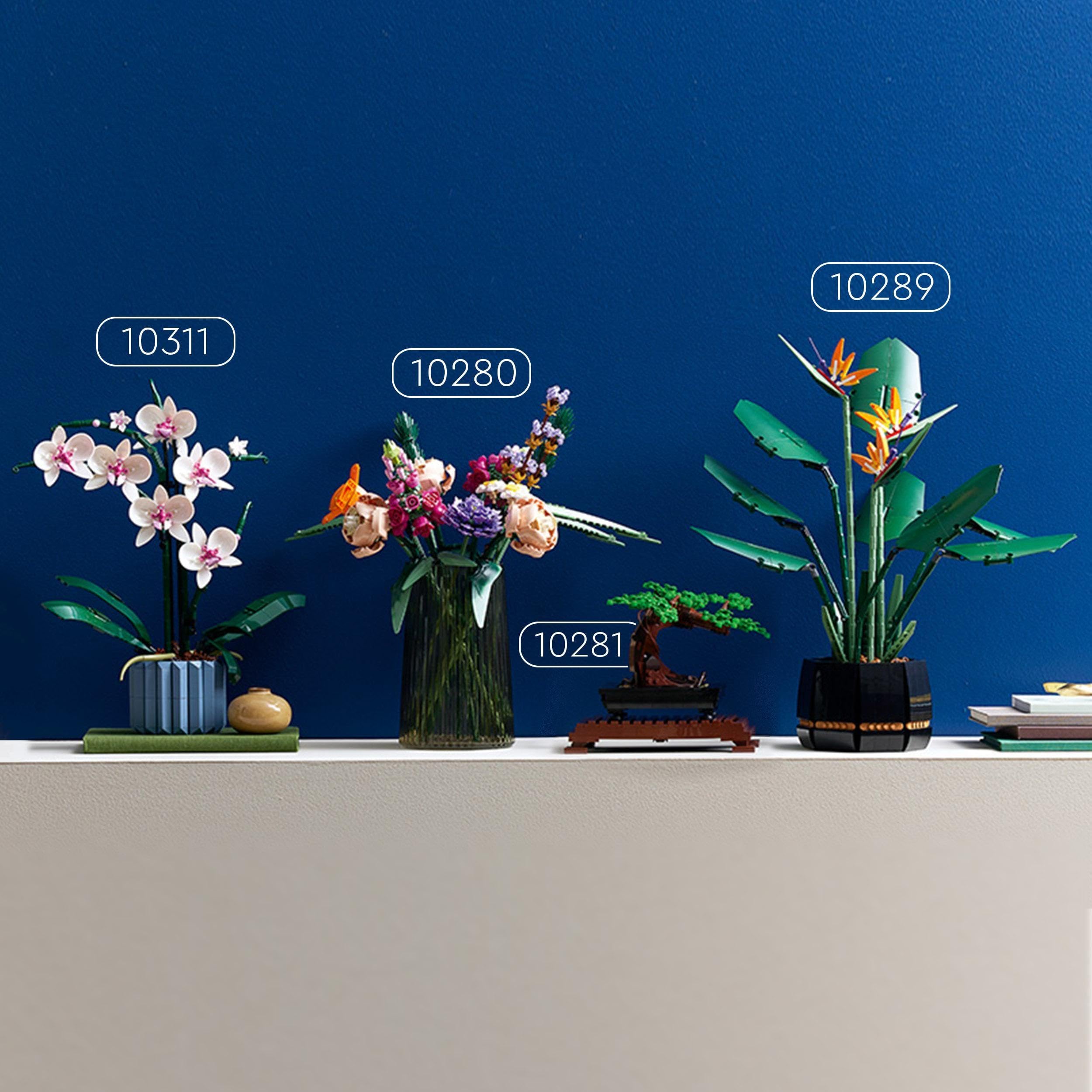 LEGO Botanicals Orchid - Artificial Plant Set for Adults Incl. Faux Flowers and a Buildable Vase - Home Office Decor - Gift Idea for Women and Men - 10311