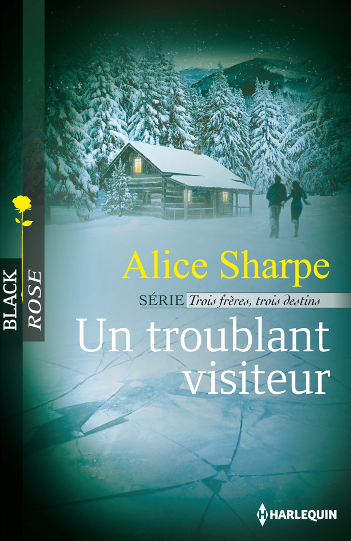 Un troublant visiteur: T1 - Trois frères, trois destins (French Edition)