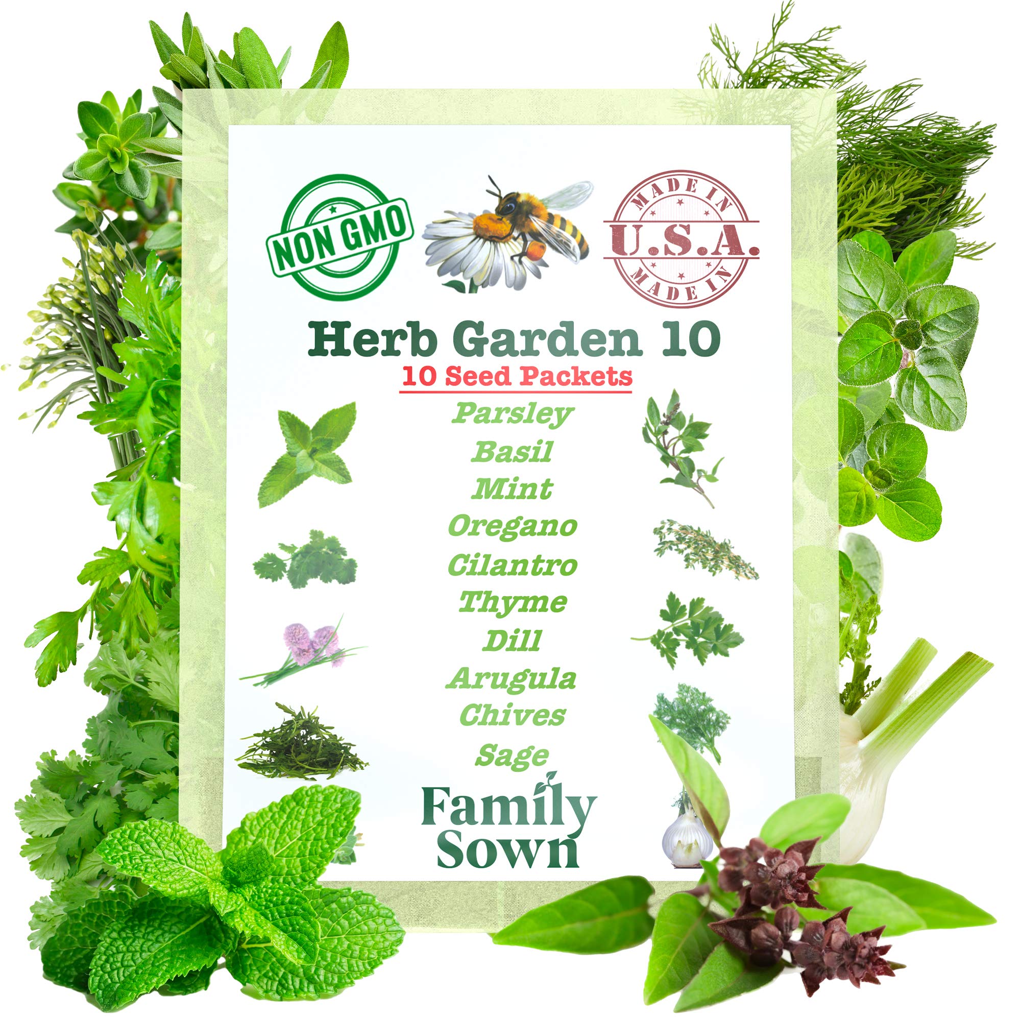 Herb Seeds | 10 Invidiual Packs | 2026 Season | Non-GMO | Mint, Parsley, Basil, Thyme & More! | for Planting Indoor & Outdoor | by Family Sown