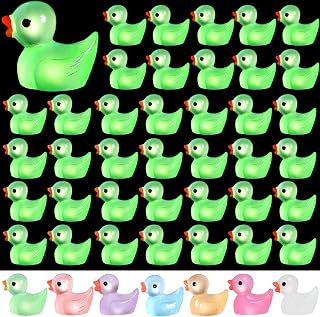 105 Pcs Luminous Resin Tiny Ducks Minature Toy Duck Miniature Ducks Ornament for DIY Garden Dollhouse Duck Accessories Baby Ducks Shower Birthday Party Favors Desk Room Crafts Decor