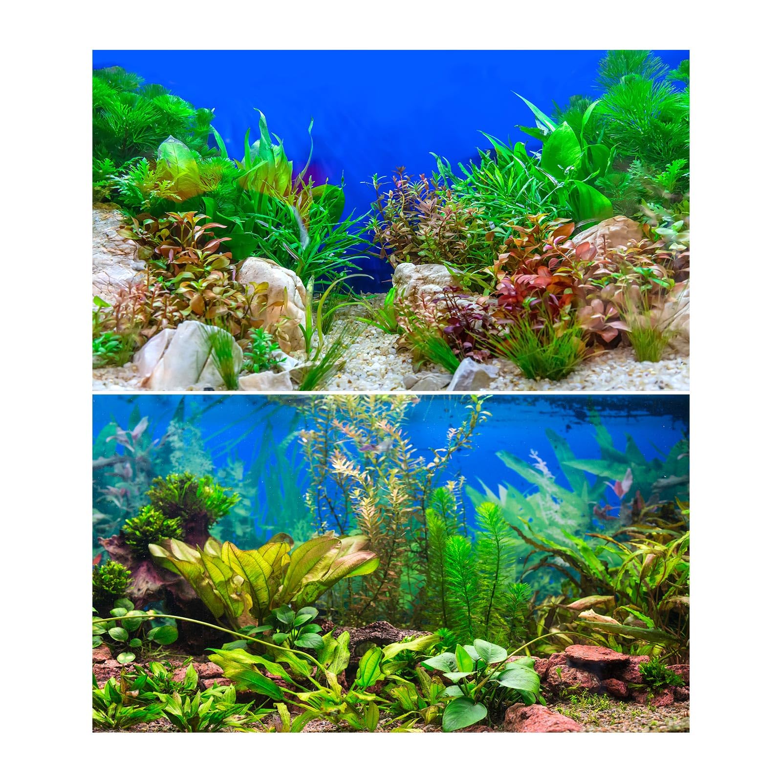 2 Packs Underwater Aquarium Background Various Aquatic Plants Undersea Fish Tank Background Stone Rock Cork Sandy Ocean Seabed on Blue Backdrop Aquarium Fish Tank Enclosure Backgrounds 36x18in