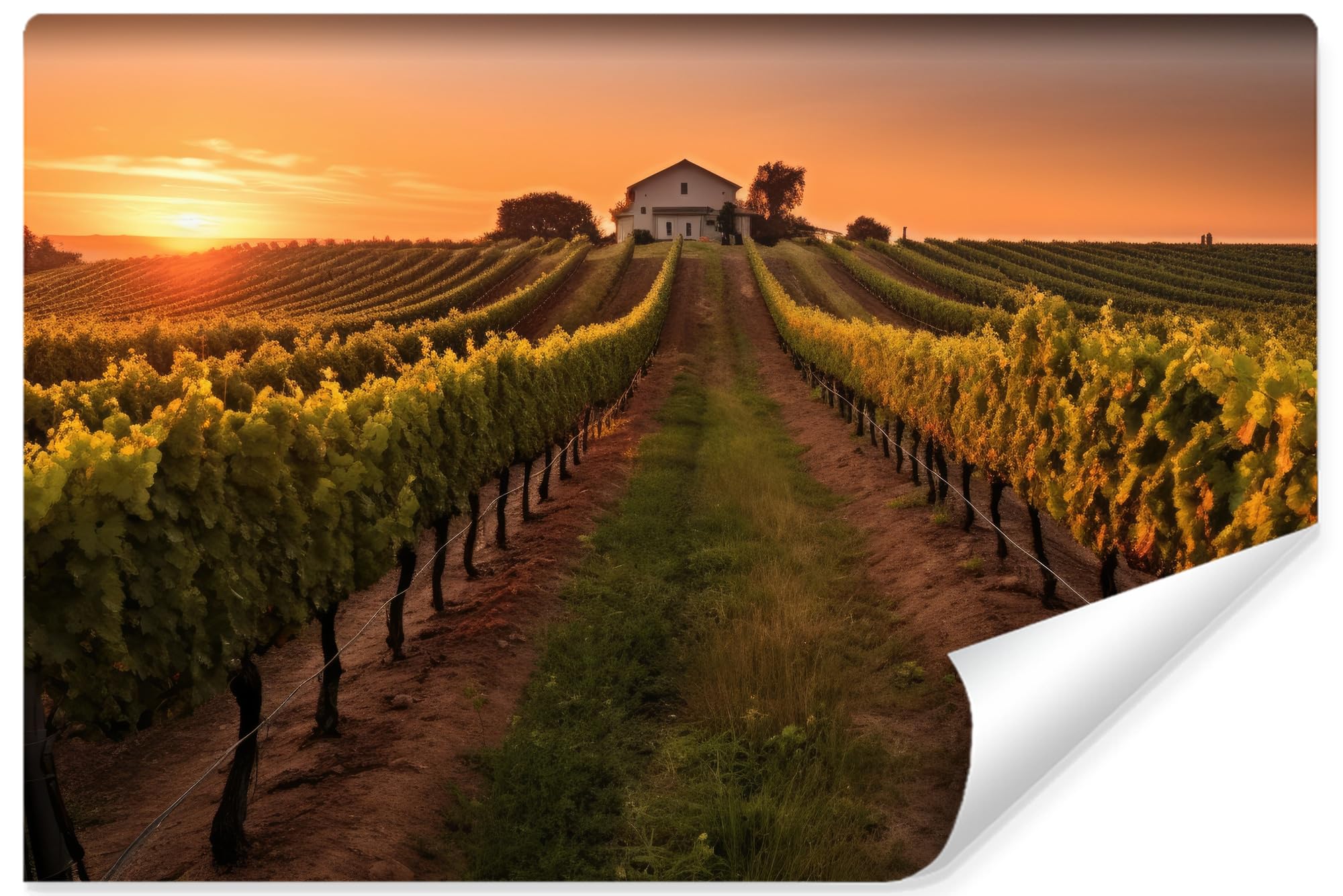 Papier peint photo intissé haut de gamme grand format 3D