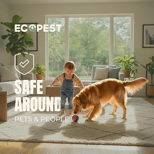 Miniatura 8 de Trampa para cucarachas  Paquete de 12  Trampas adhesivas de pegamento para interiores para cucarachas y otros insectos e insectos rastreros  Motel