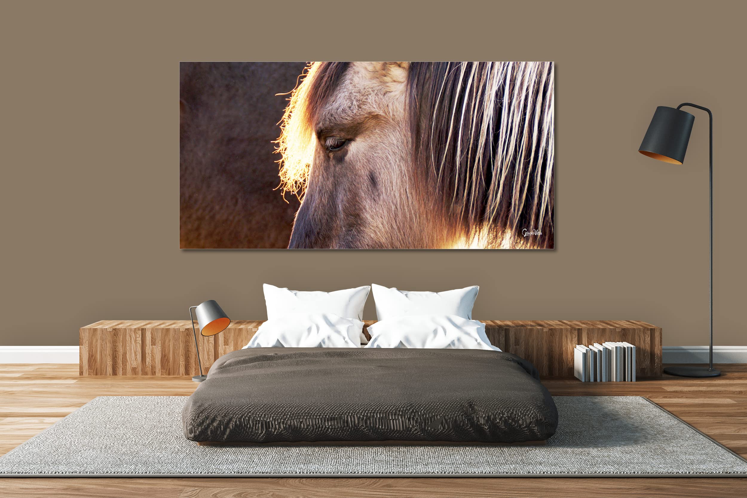 Glücksvilla - Wildpferd 1 (Acrylglas-Bild 5 mm, 120 x 60 cm) | div. Maße - aus DE - Kunstdruck Deko Wandbild quer - Pferd Pony Bauernhof Natur Tier